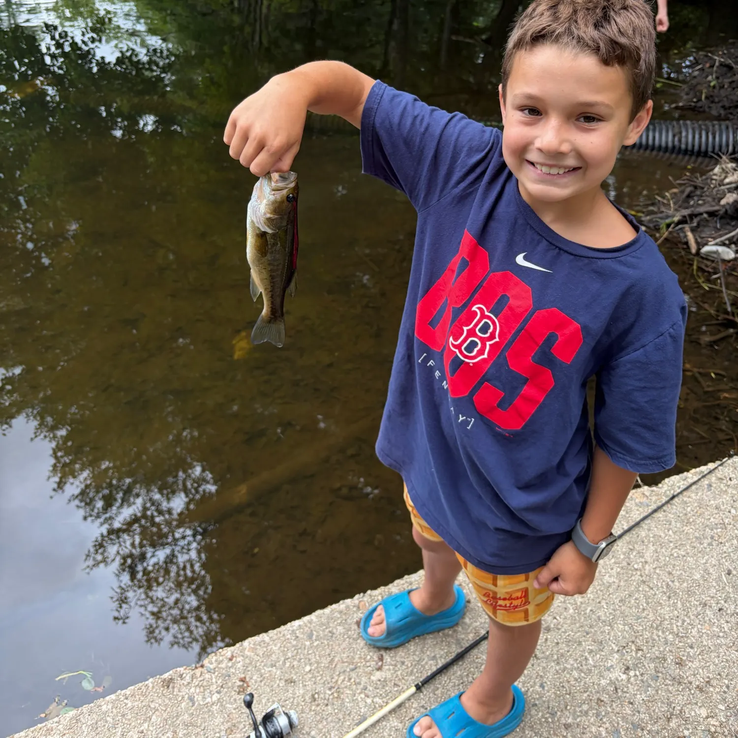 Largemouth bass caught on Fishbrain