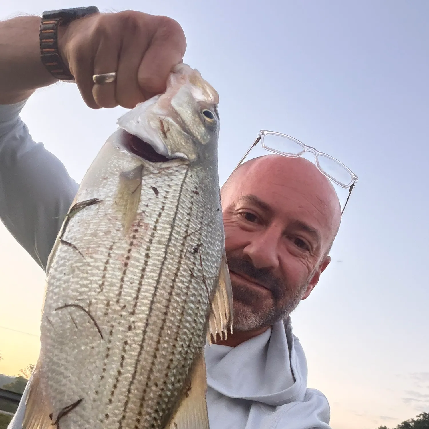 Wiper caught on Fishbrain