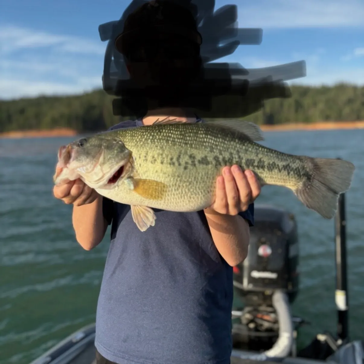 Spotted bass caught on Fishbrain