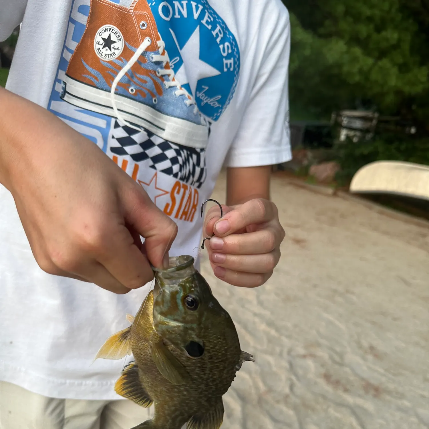 catch