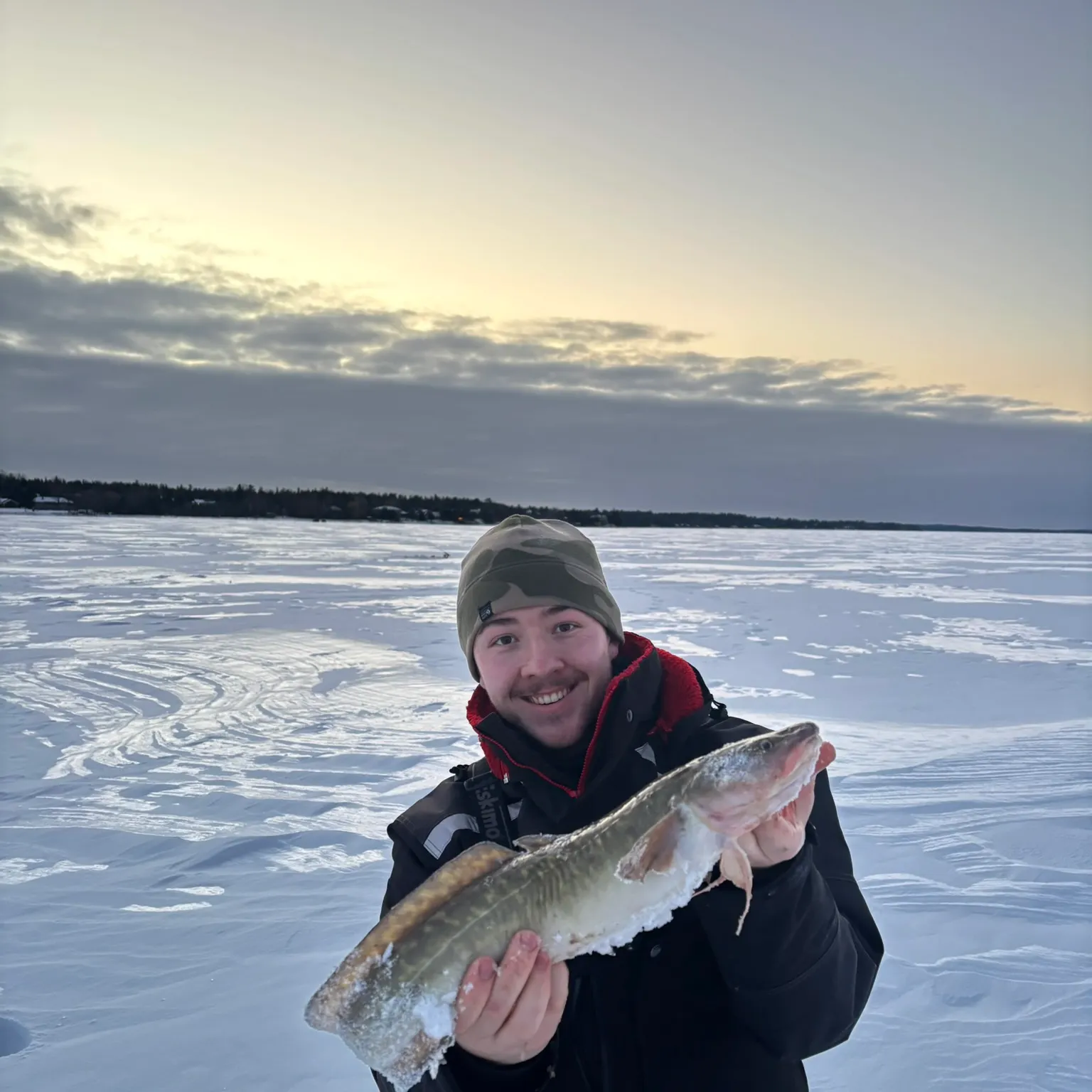 The most recent Burbot catches on Fishbrain