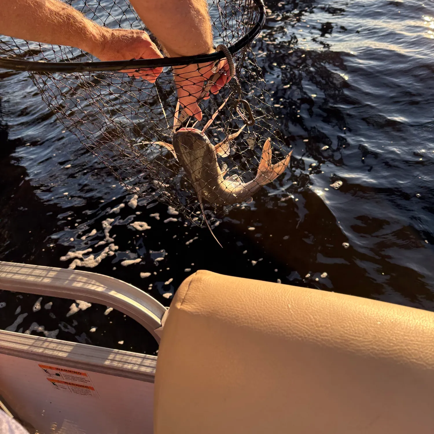 catch