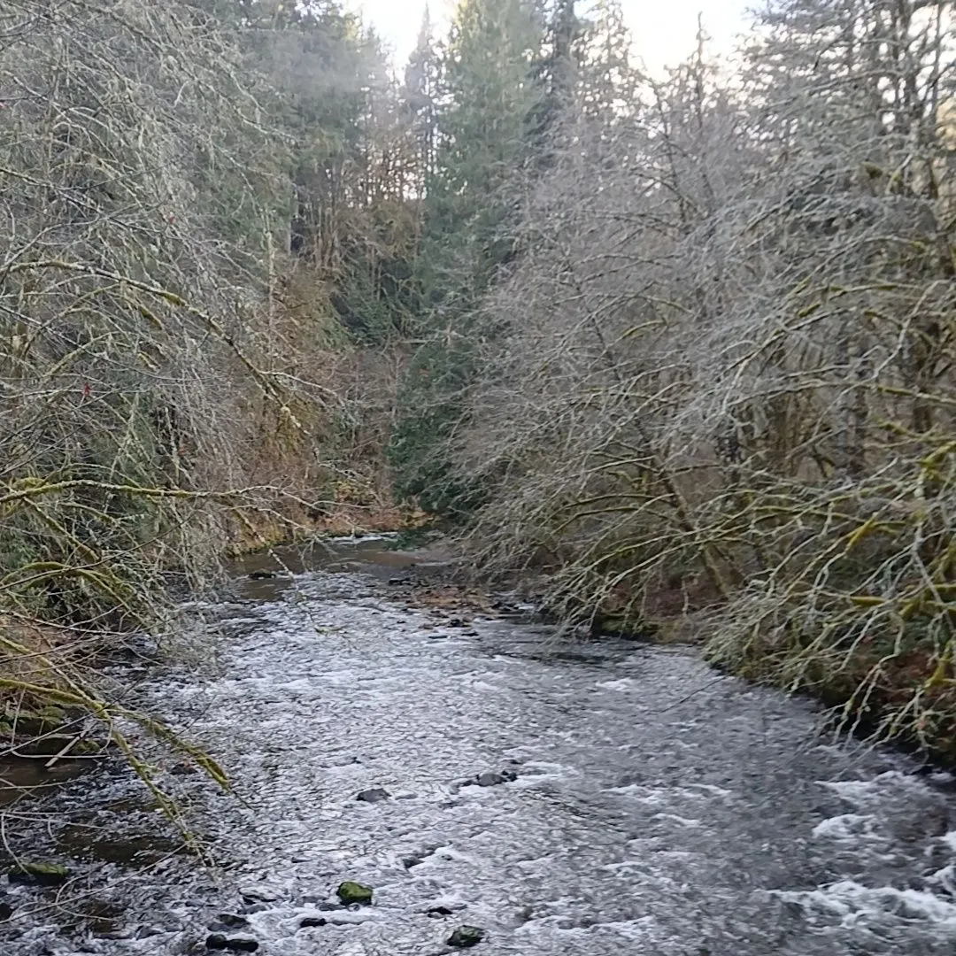 The most recent Greenback cutthroat trout catches on Fishbrain