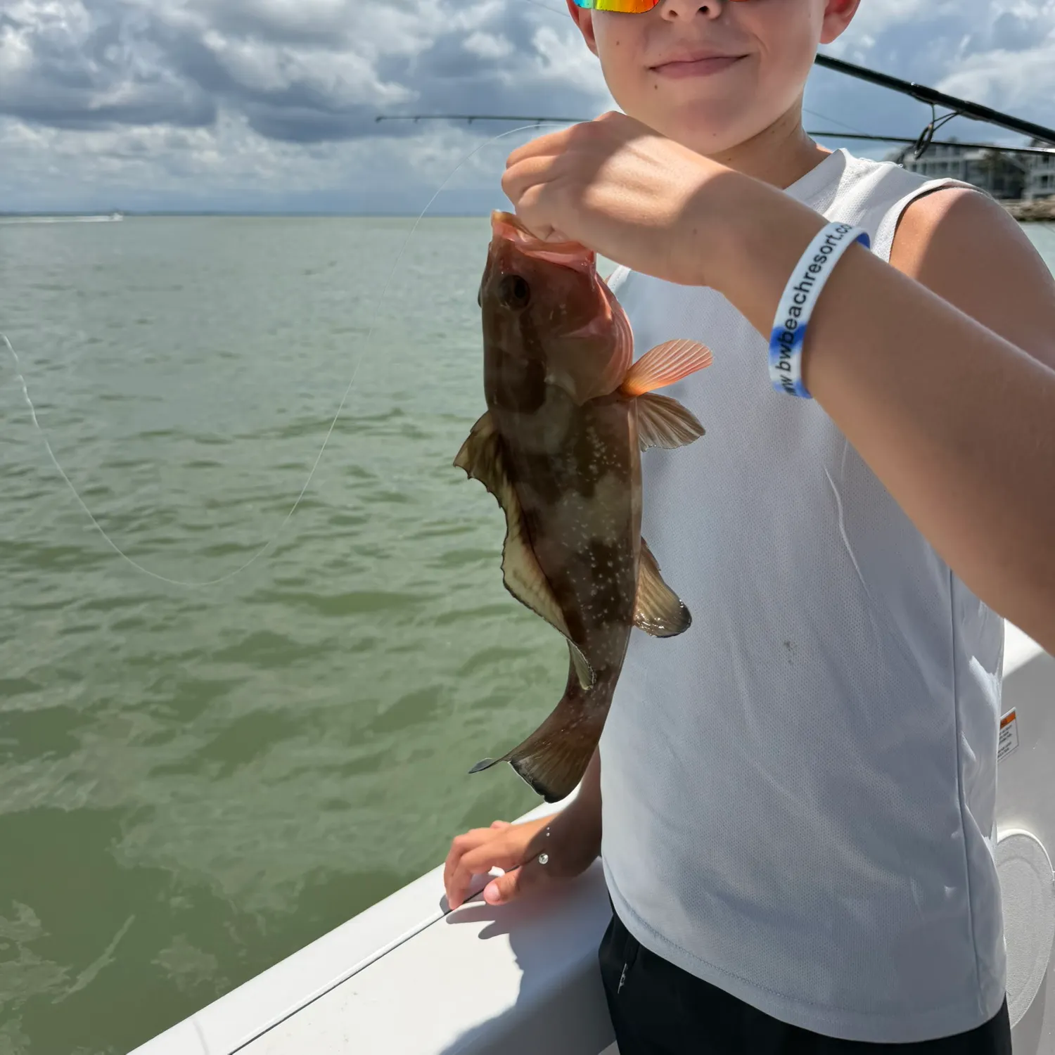 The most recent Red grouper catches on Fishbrain