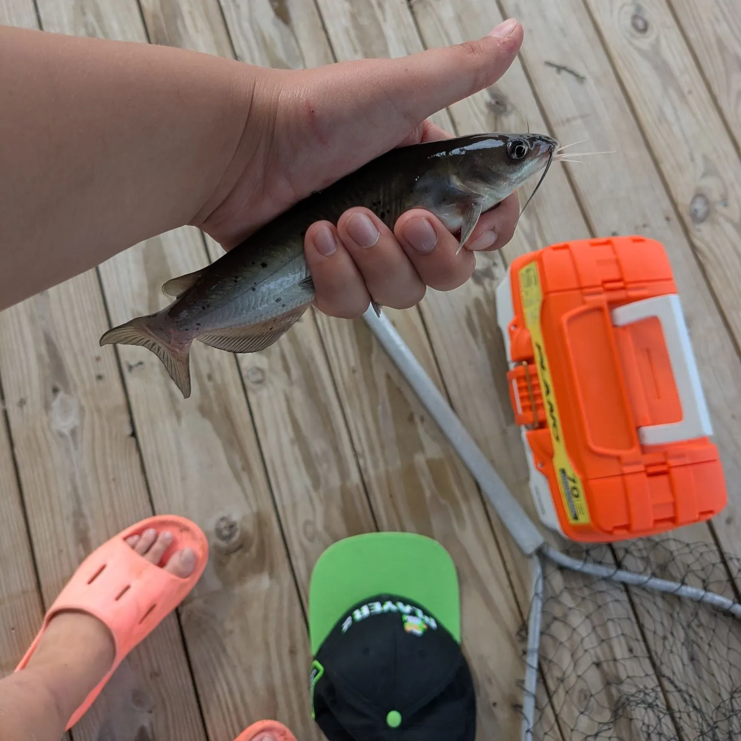 catch