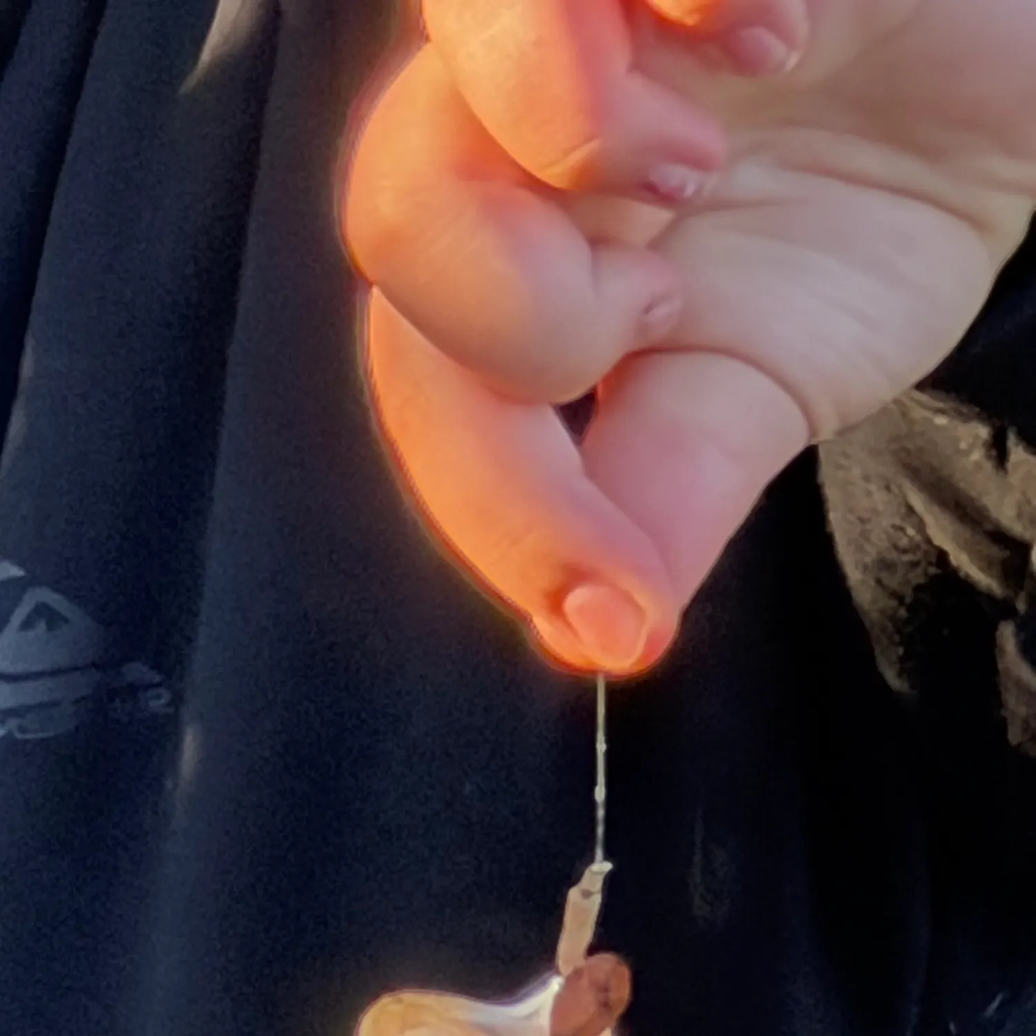 Rock bass caught on Fishbrain