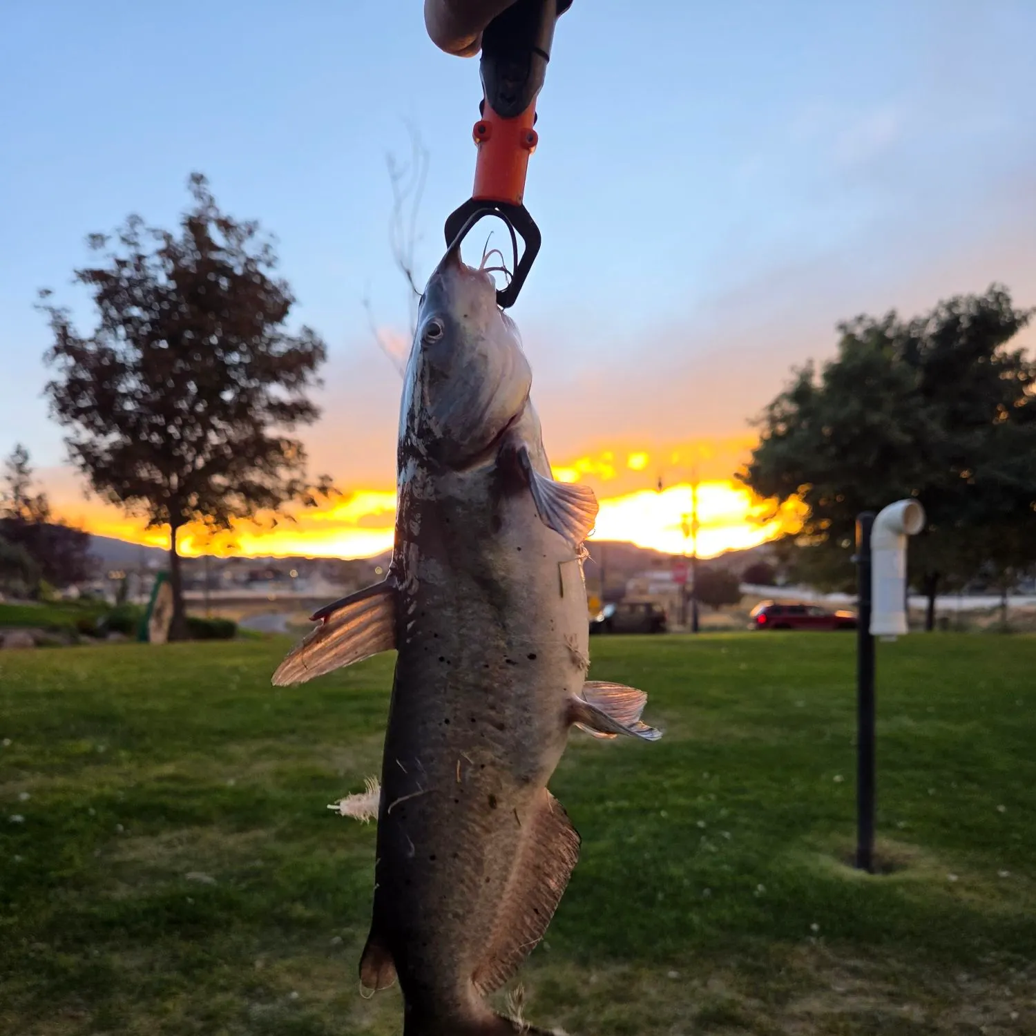 catch