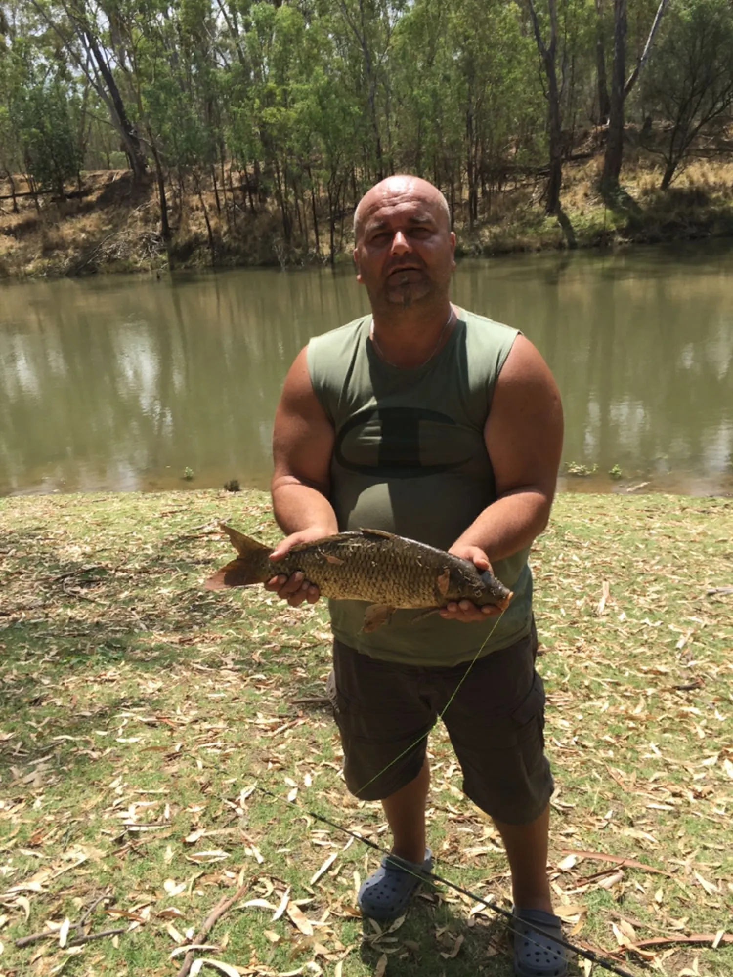 Post image from tziday5018