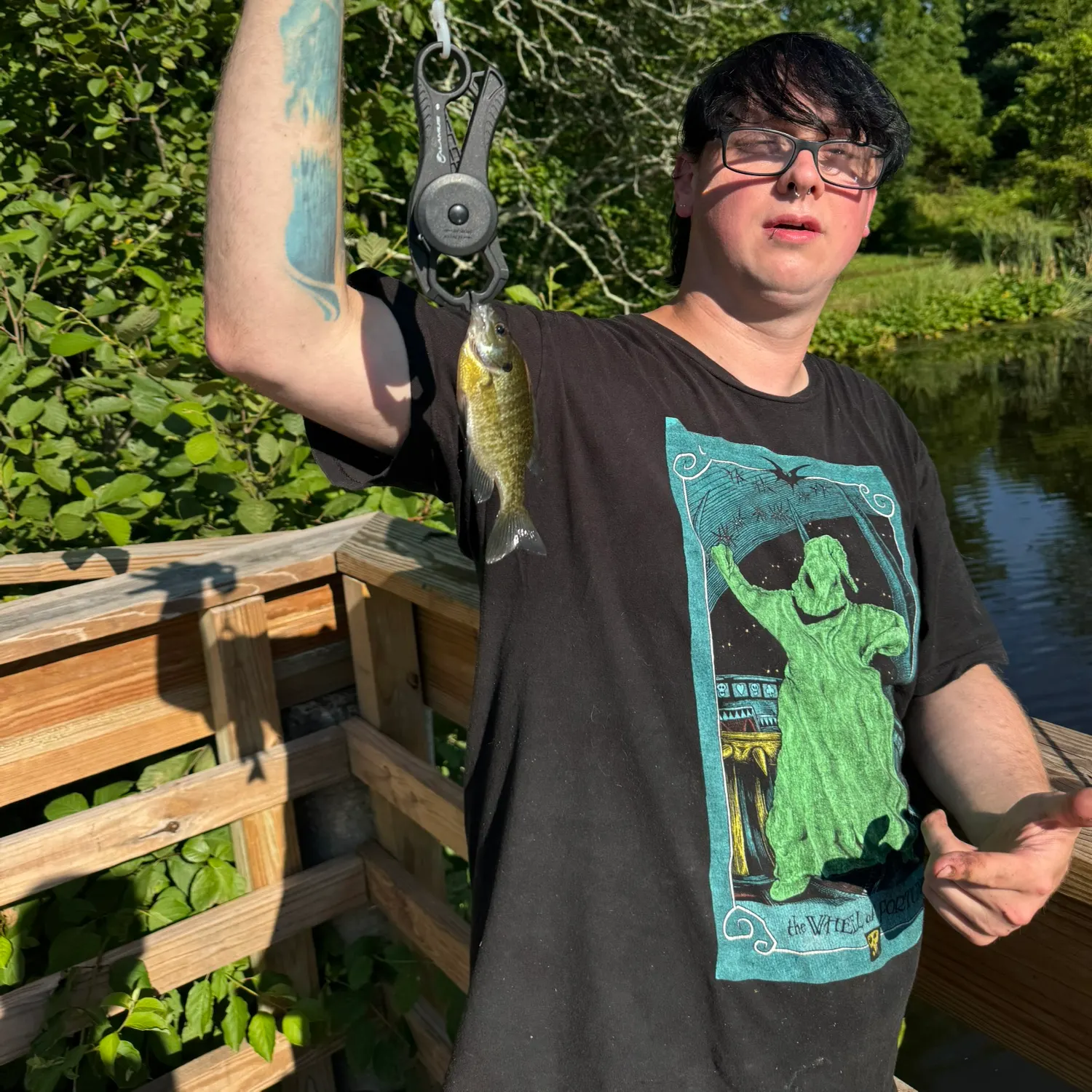 Bluegill caught on Fishbrain