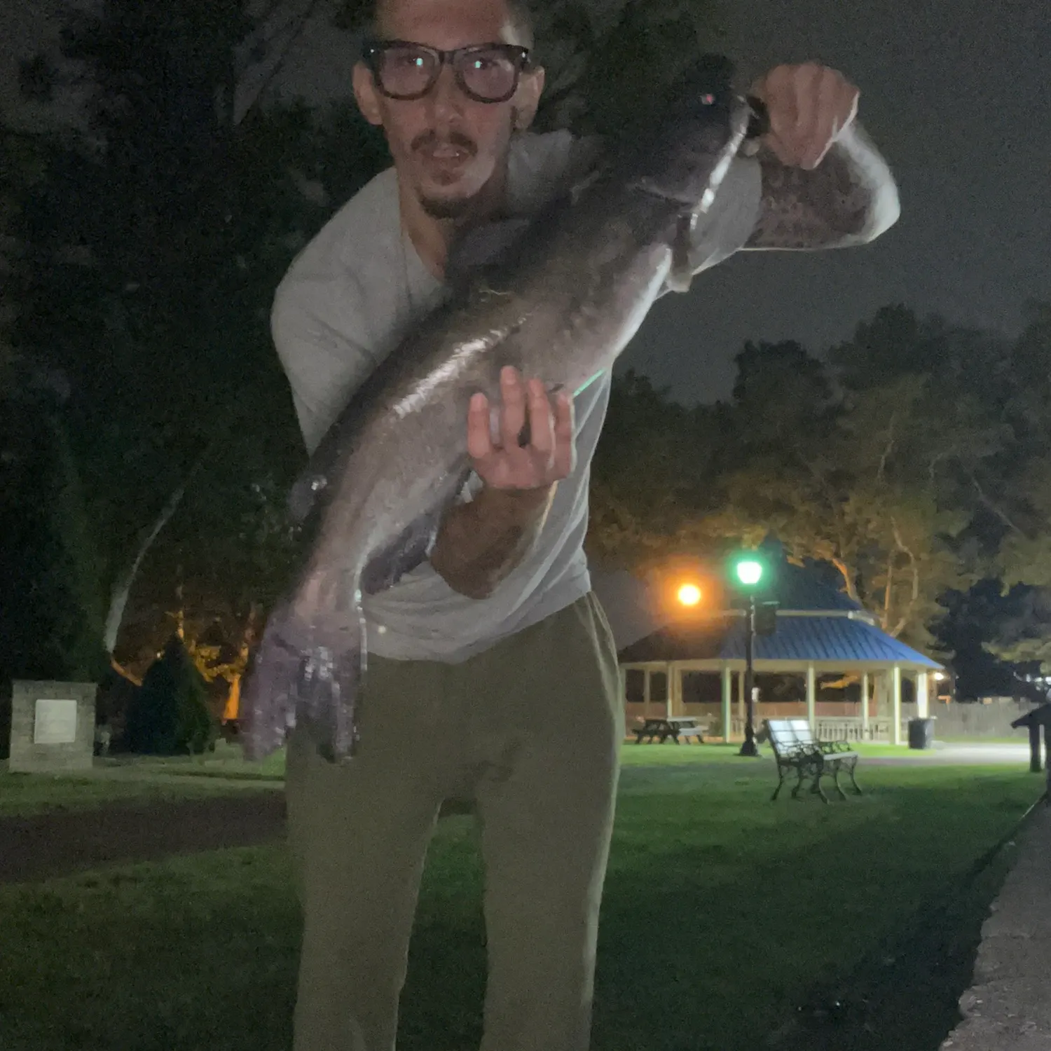 Channel catfish caught on Fishbrain