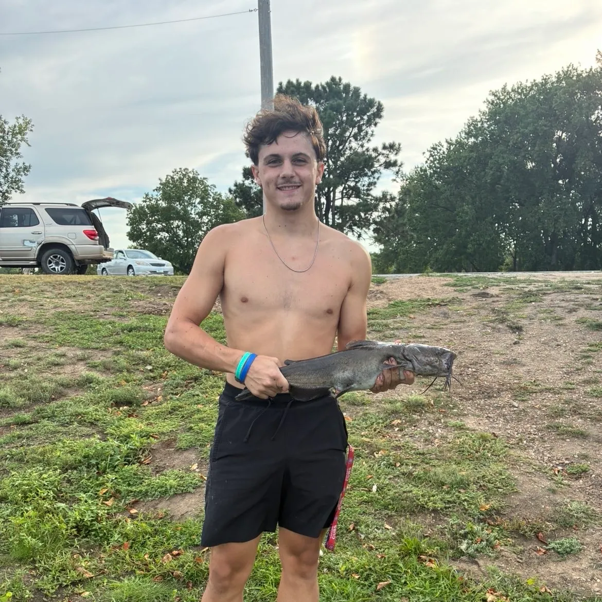 Channel catfish caught on Fishbrain