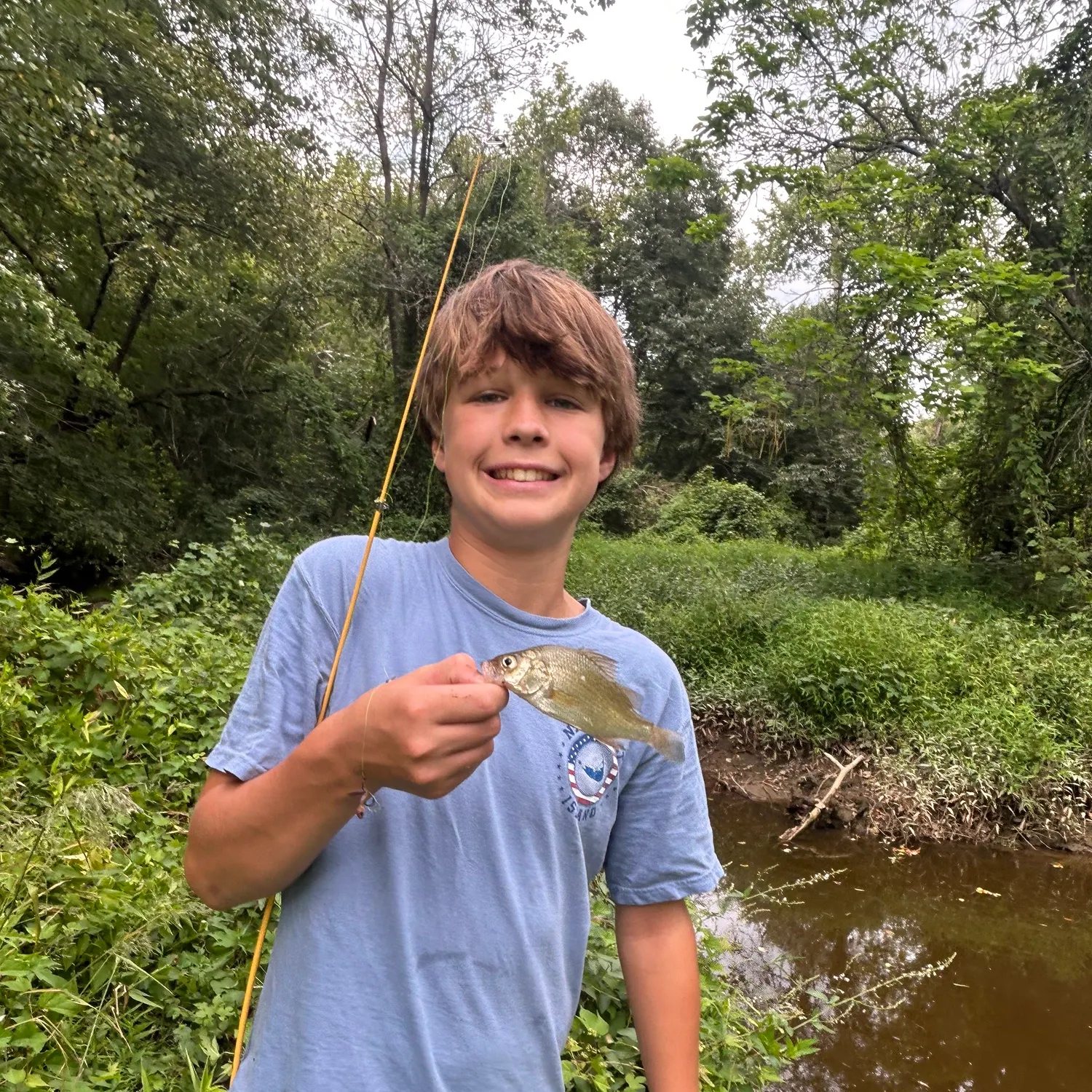 Green sunfish caught on Fishbrain