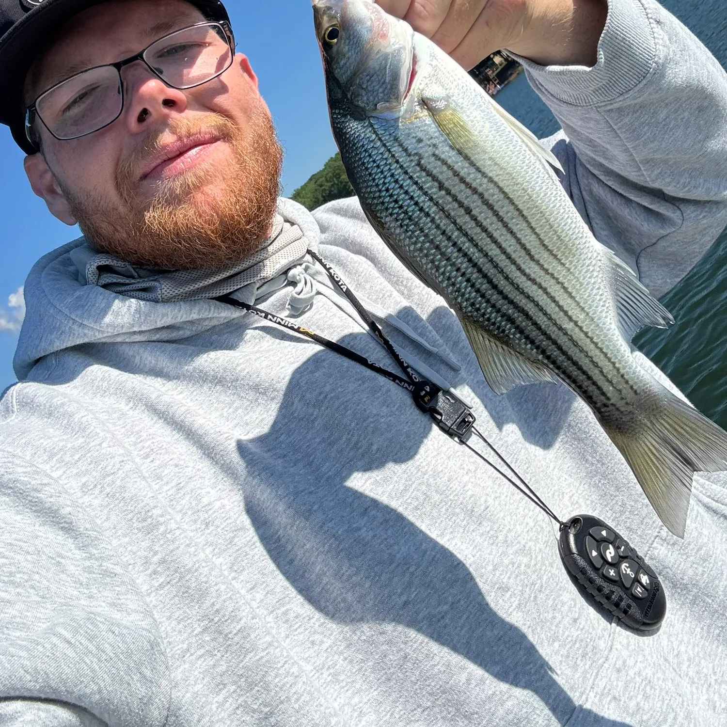 The most recent Striped bass catches on Fishbrain