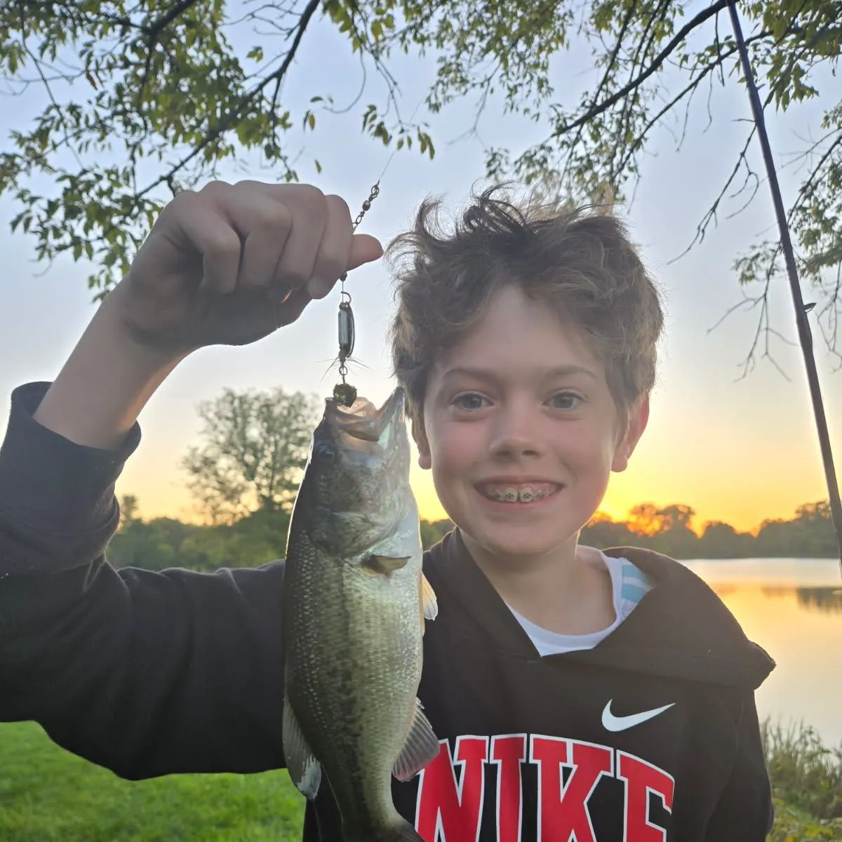 Largemouth bass caught on Fishbrain