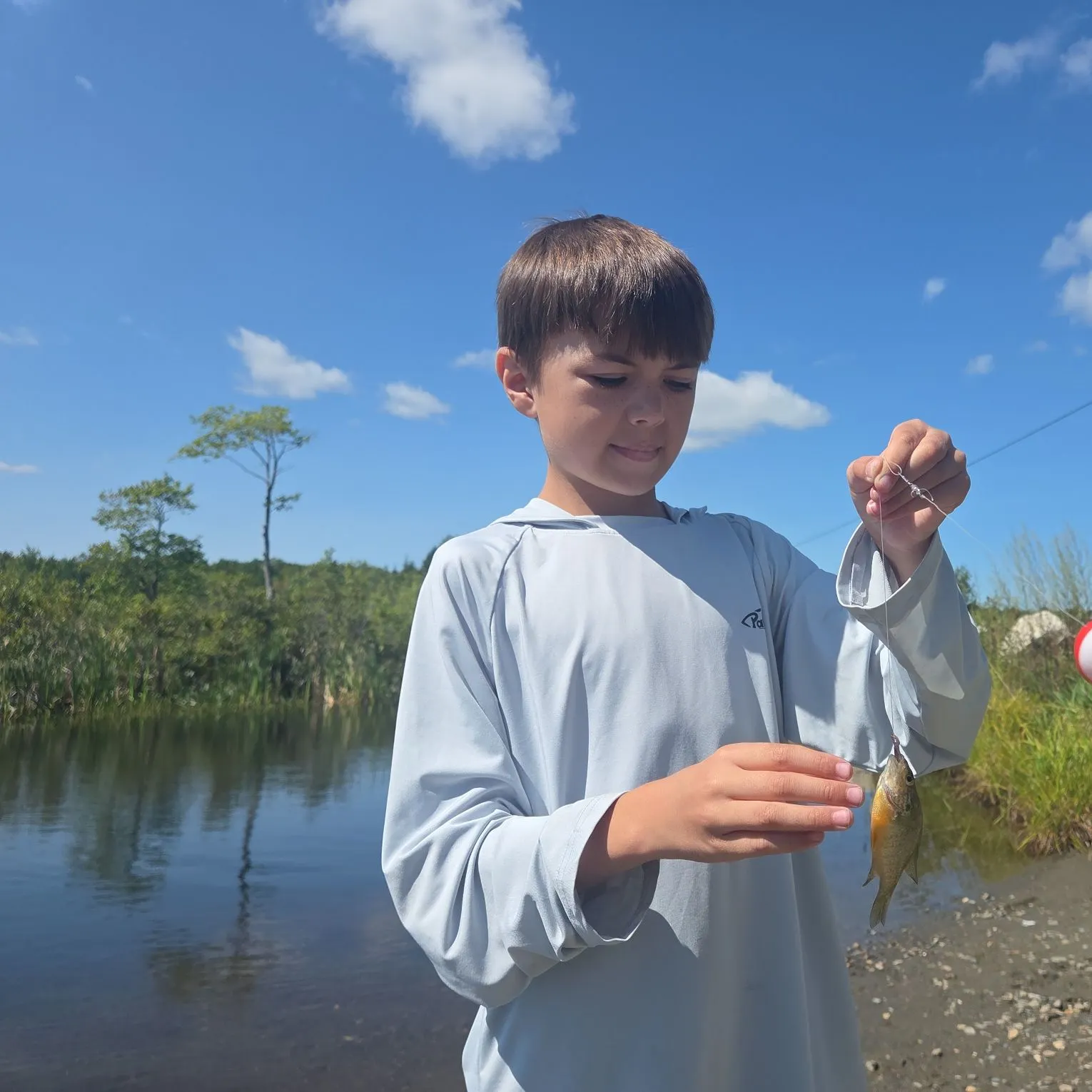 Pumpkinseed caught on Fishbrain