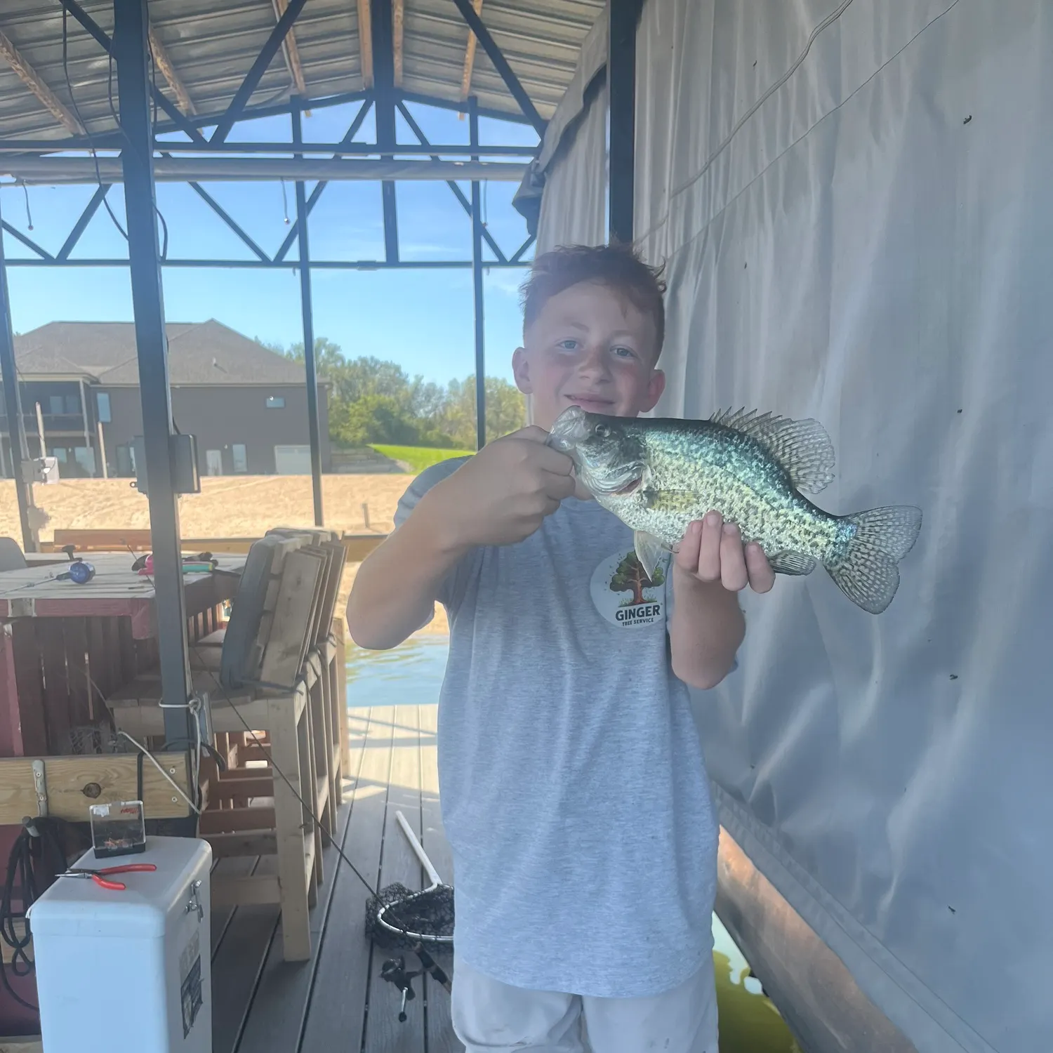 Black crappie caught on Fishbrain