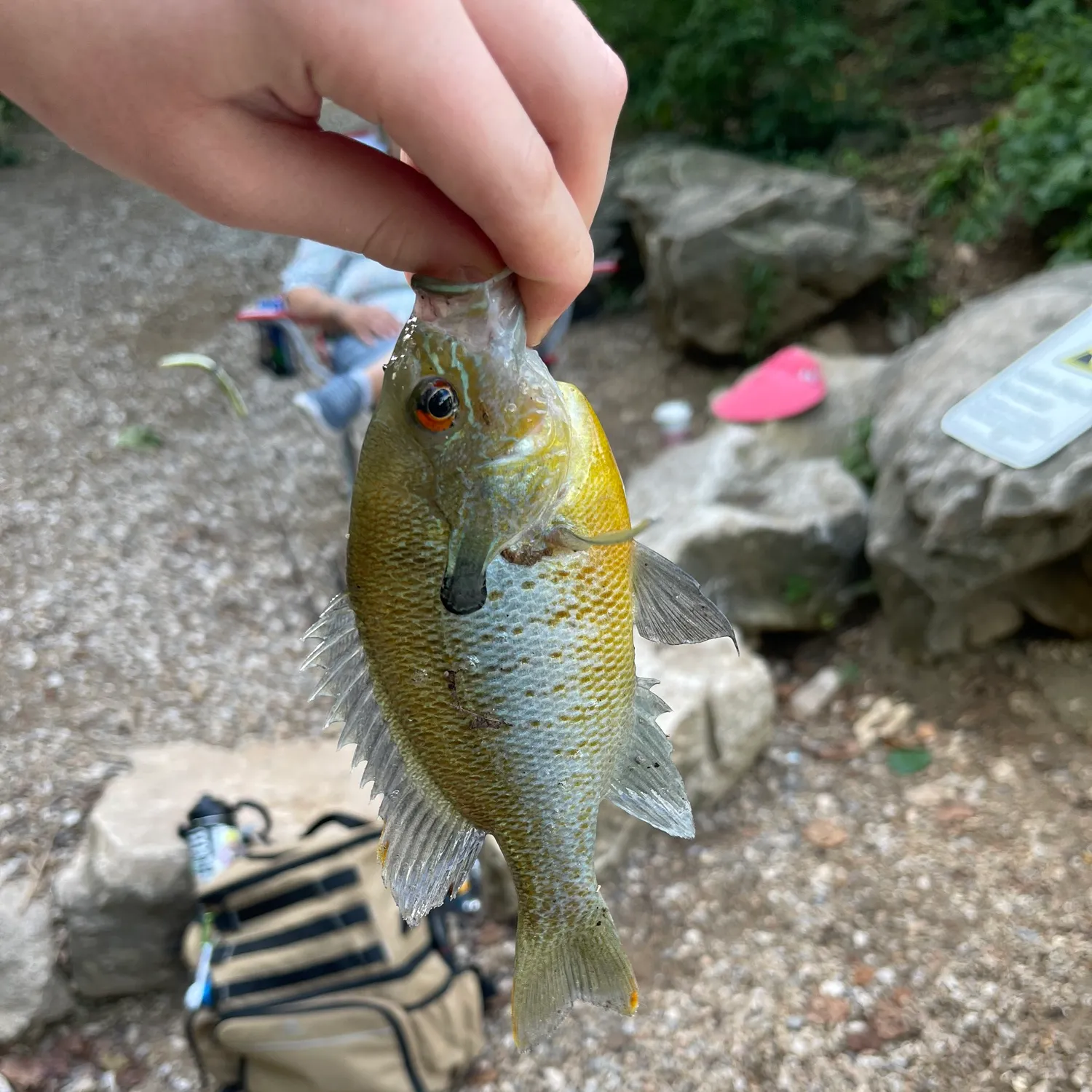 catch