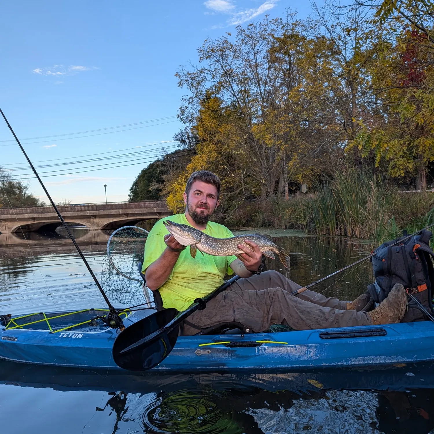 Northern pike caught on Fishbrain