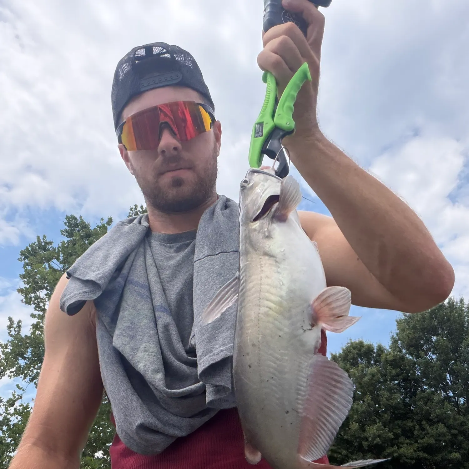 Channel catfish caught on Fishbrain