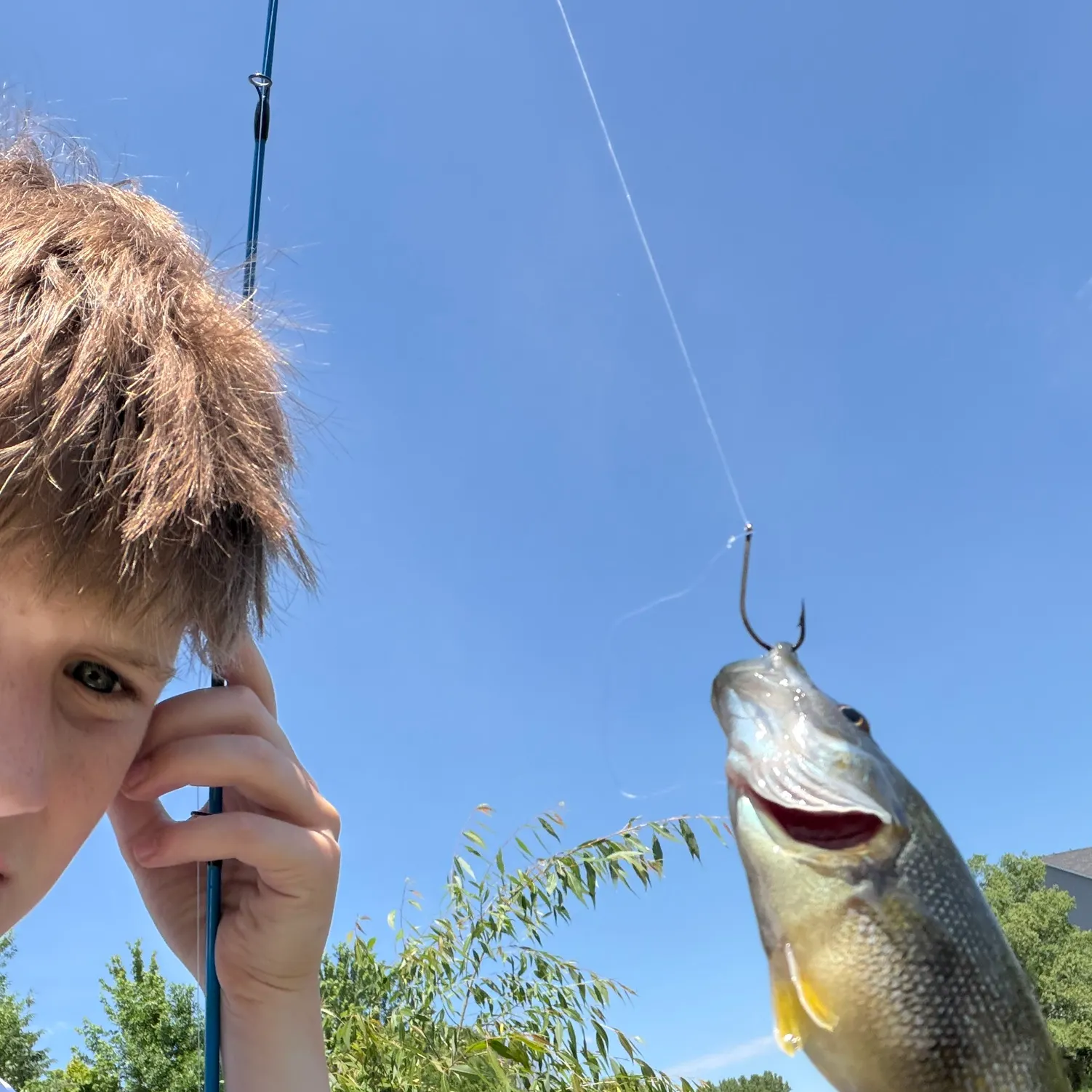The most recent Green sunfish catches on Fishbrain