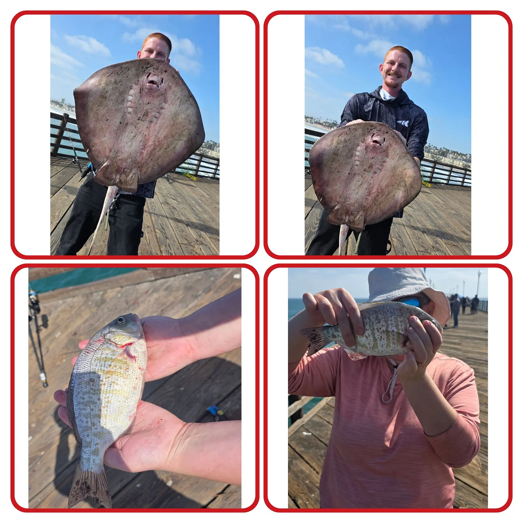 recently logged catches
