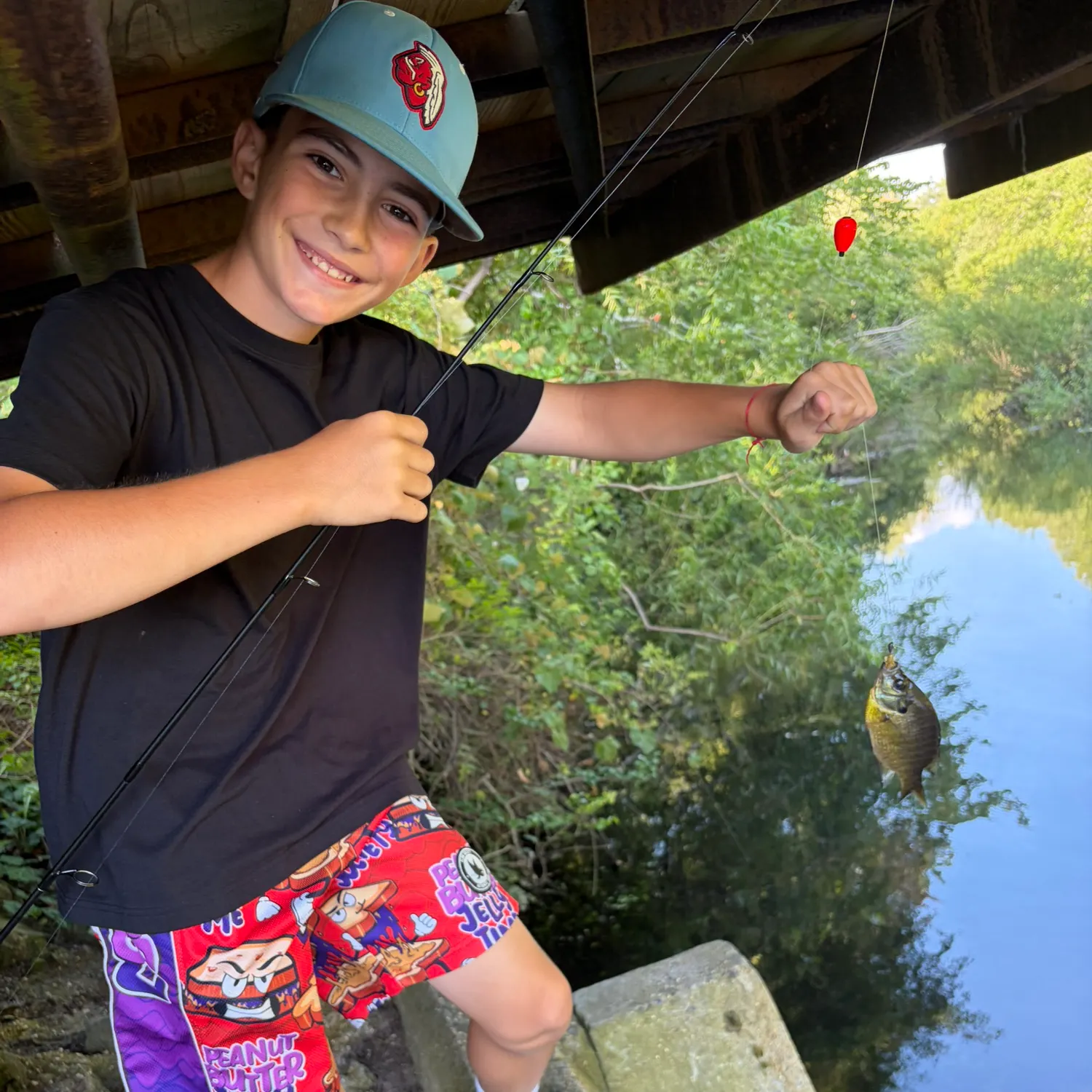 Bluegill caught on Fishbrain