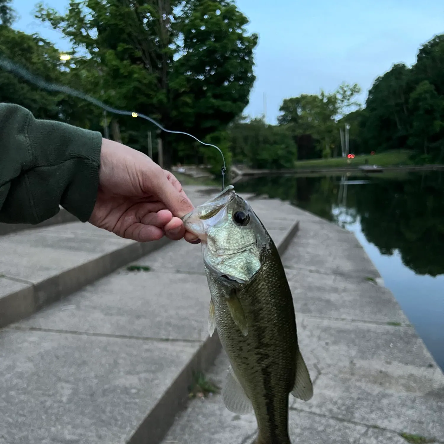 angler catch