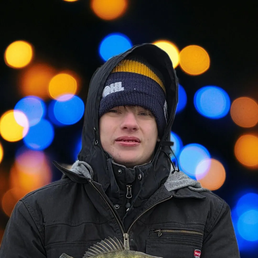 The most recent Yellow perch catches on Fishbrain