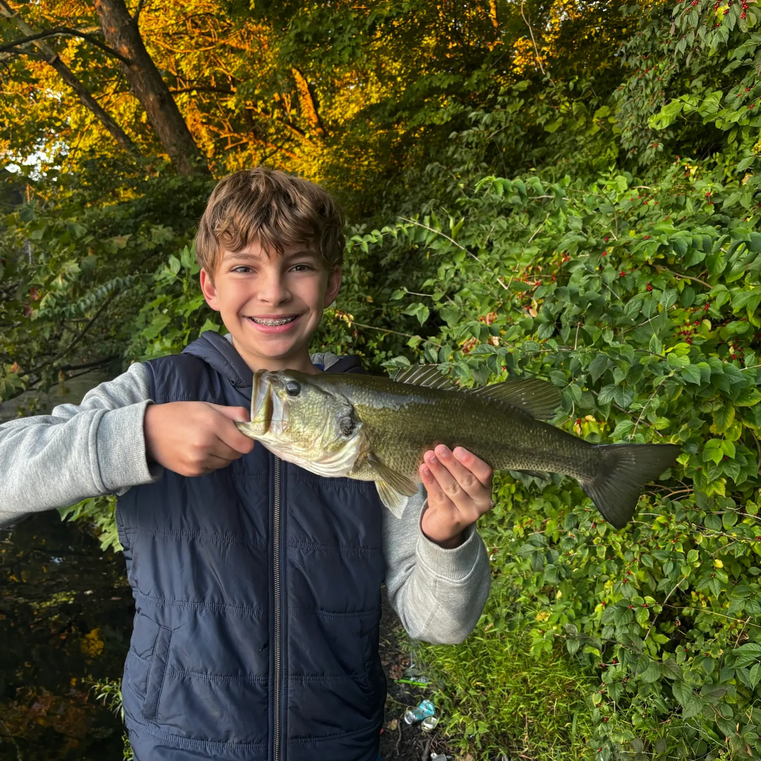 Largemouth bass caught on Fishbrain
