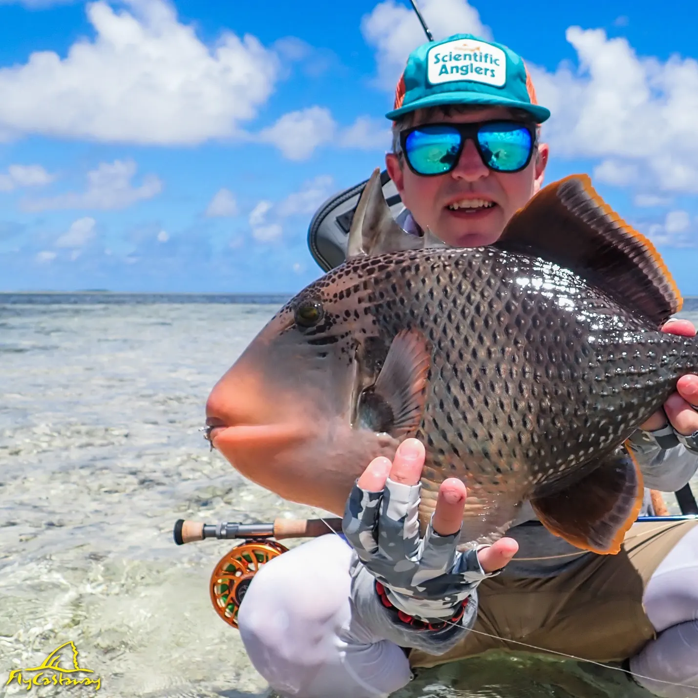 The most recent Black triggerfish catches on Fishbrain