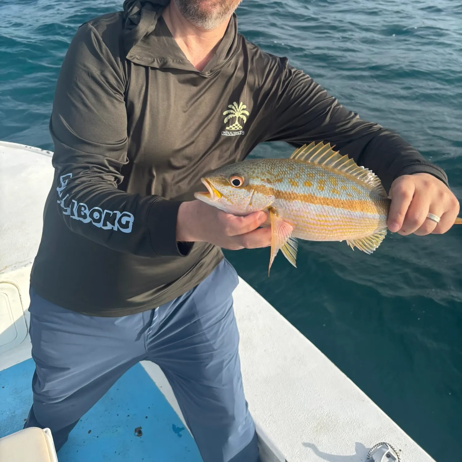 Yellowtail snapper caught on Fishbrain