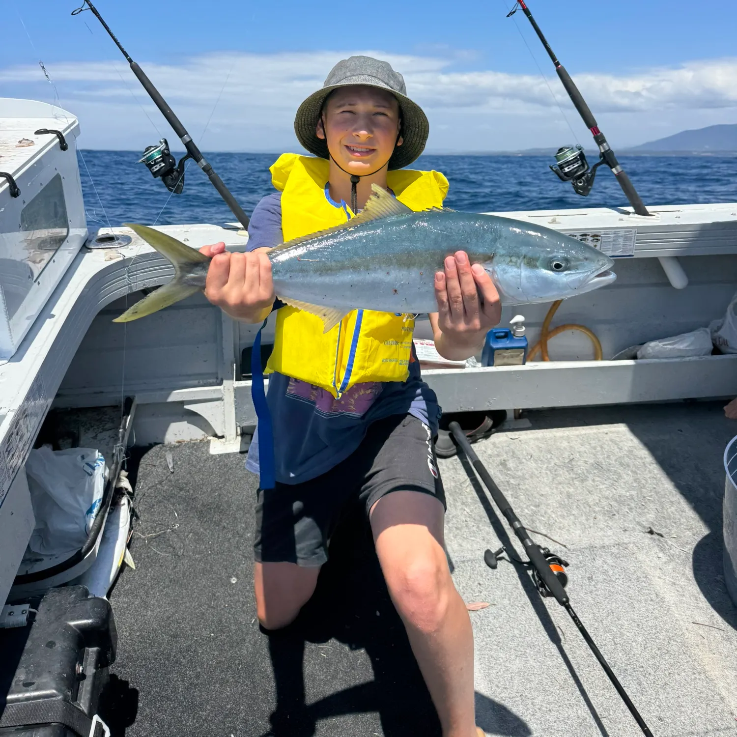 The most recent Southern yellowtail amberjack catches on Fishbrain