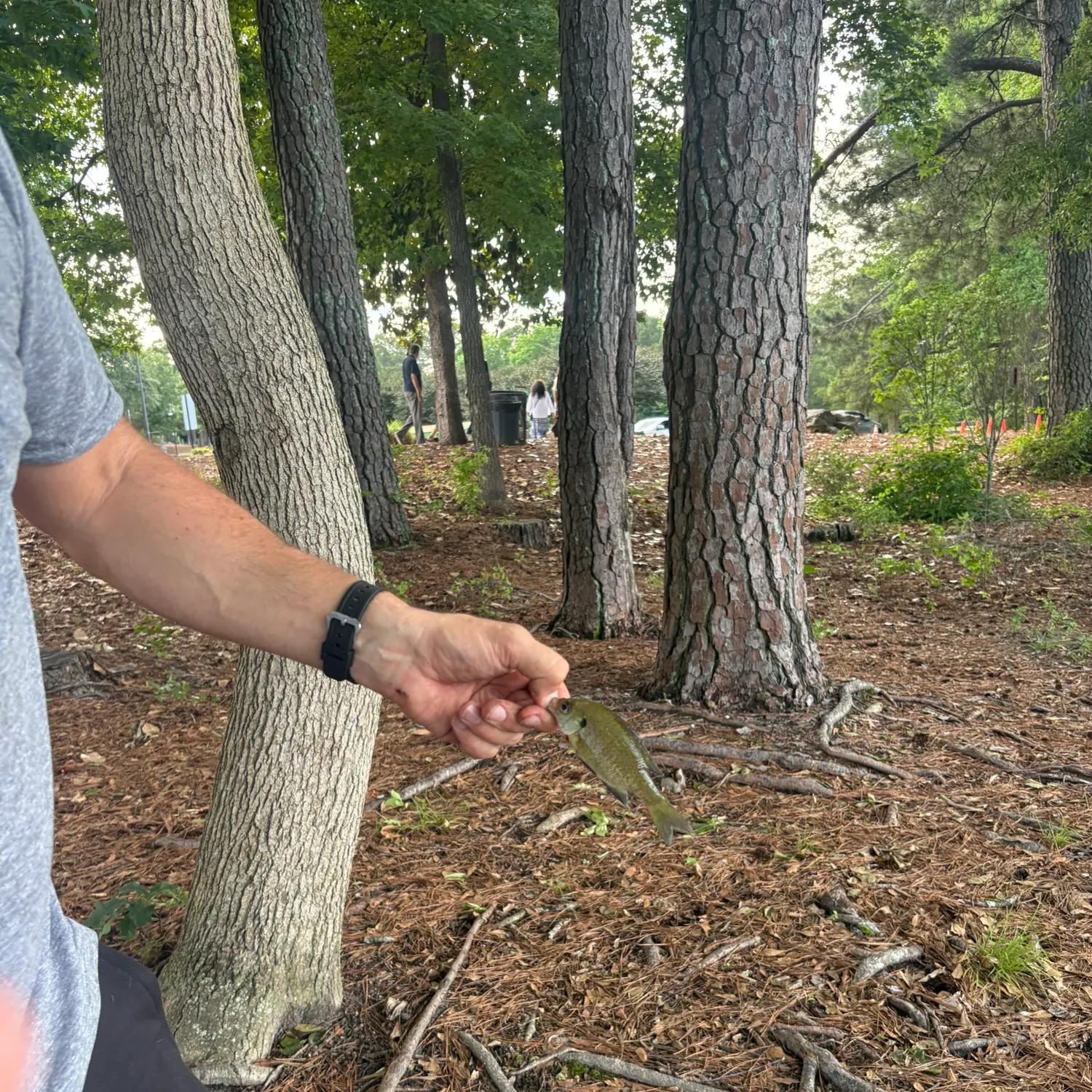 catch