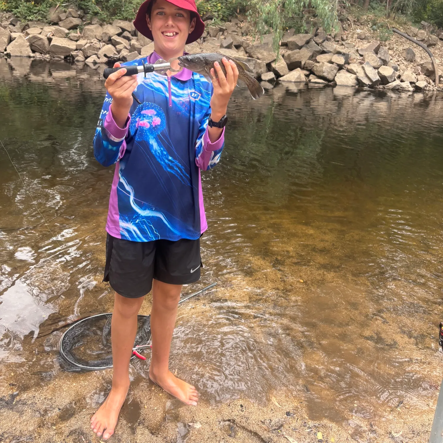 The most recent Trout cod catches on Fishbrain