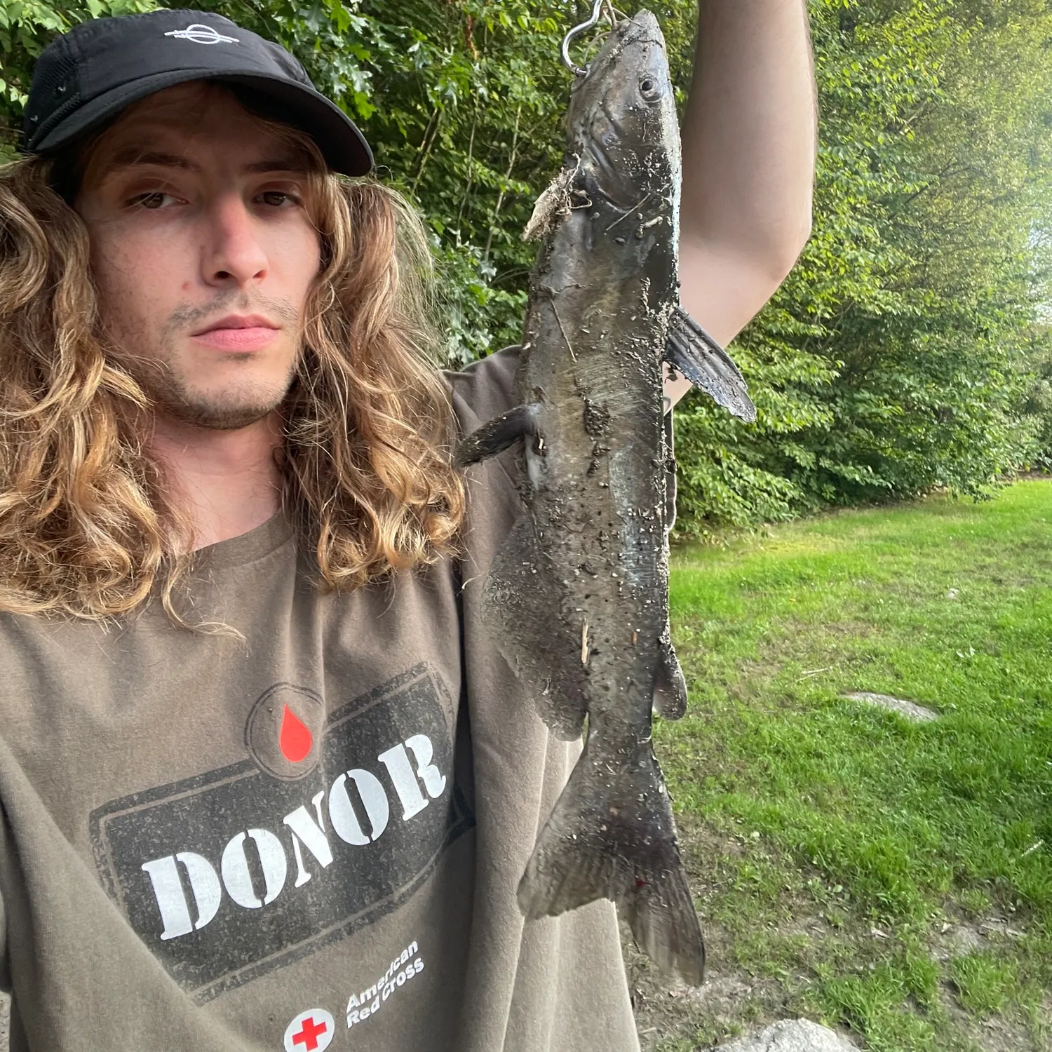 Channel catfish caught on Fishbrain