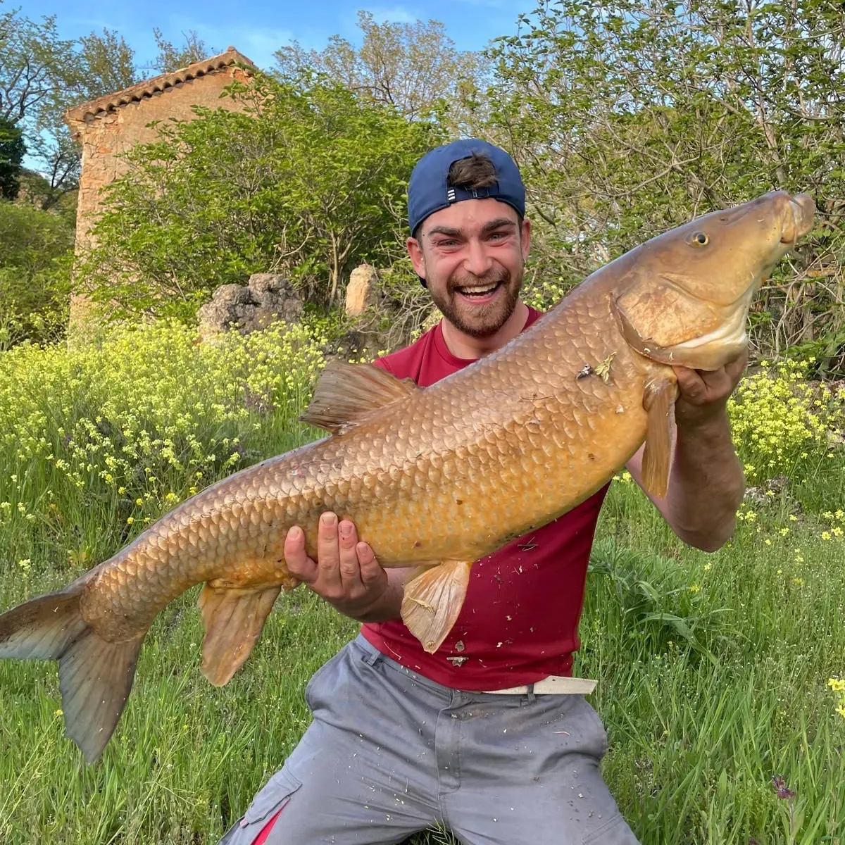 The most recent Iberian barbel catches on Fishbrain