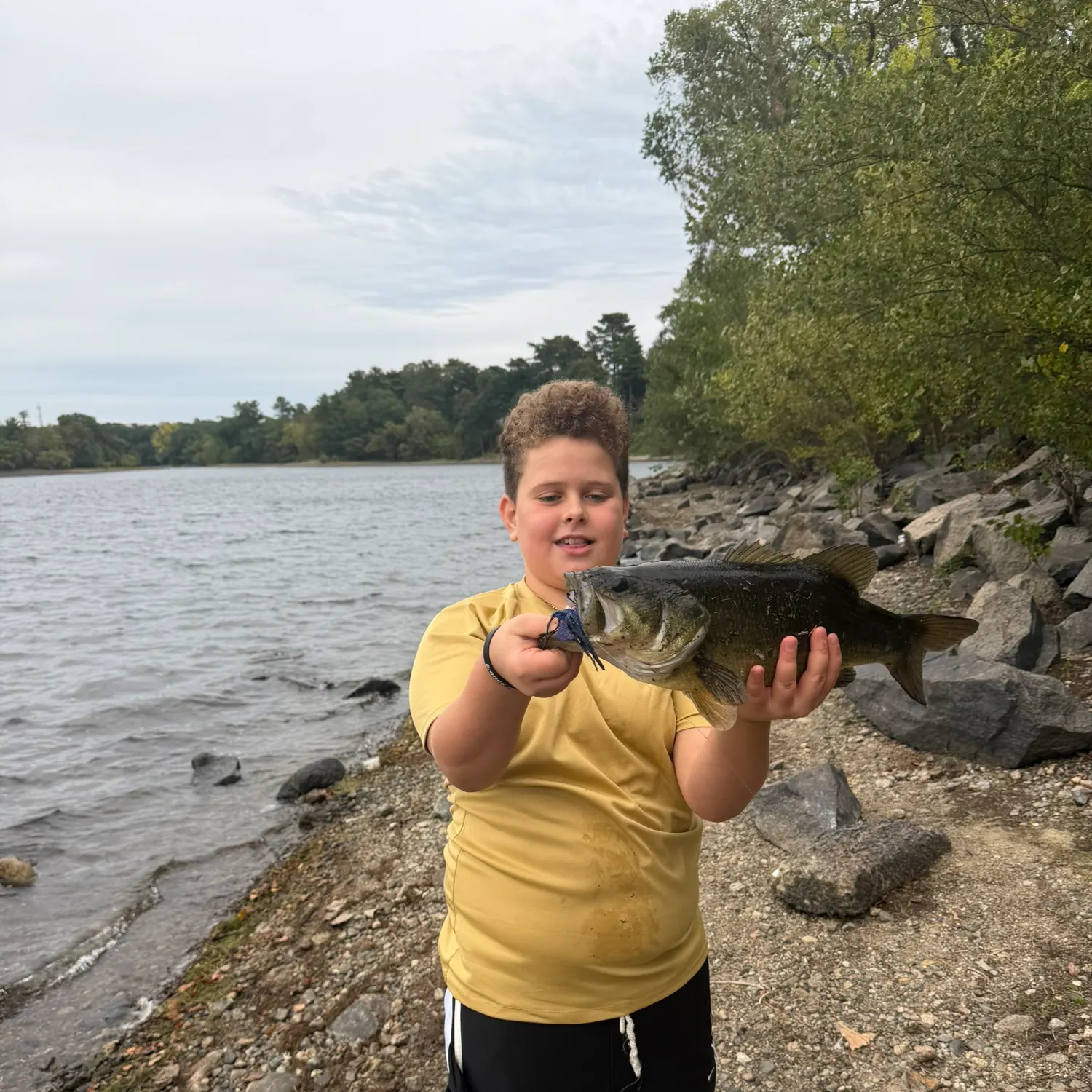 Largemouth bass caught on Fishbrain