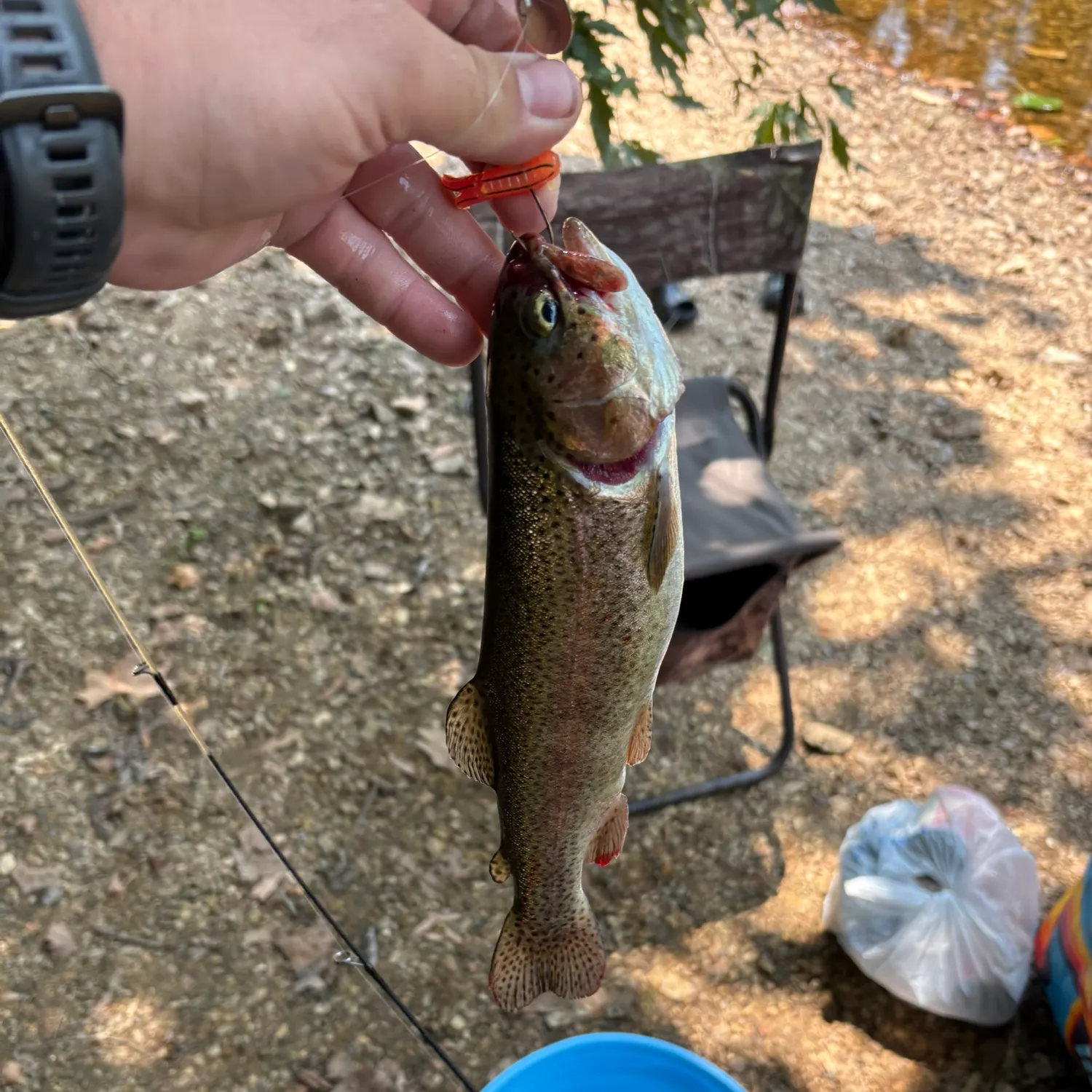 catch