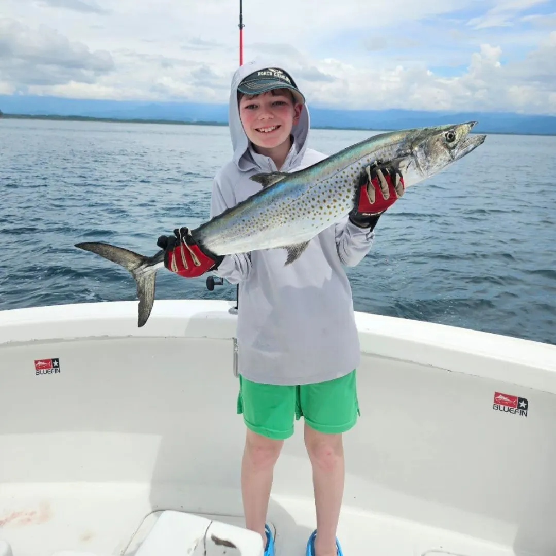 The most recent Spanish mackerel catches on Fishbrain