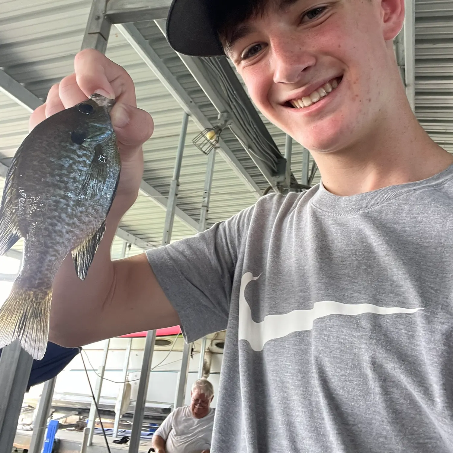 Bluegill caught on Fishbrain