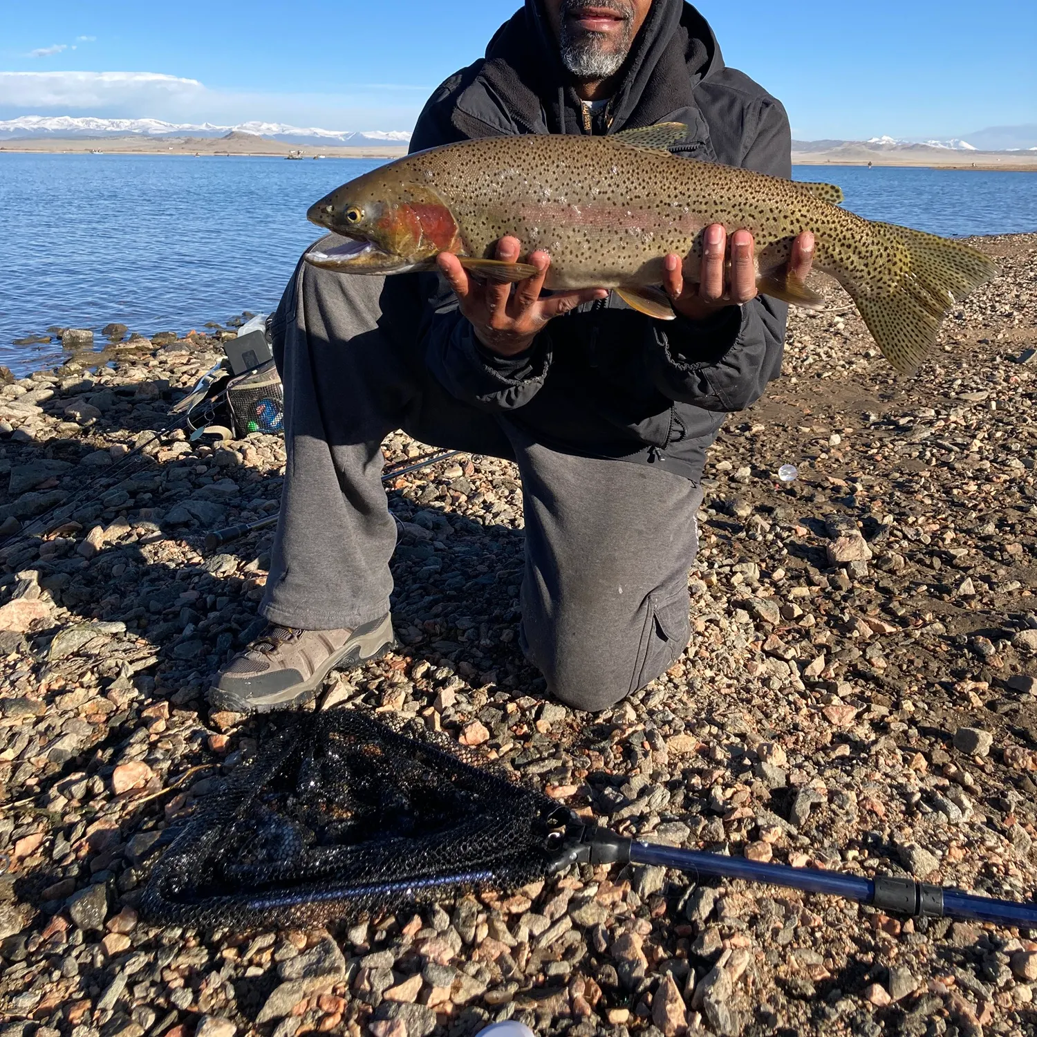 The most recent Cutbow catches on Fishbrain