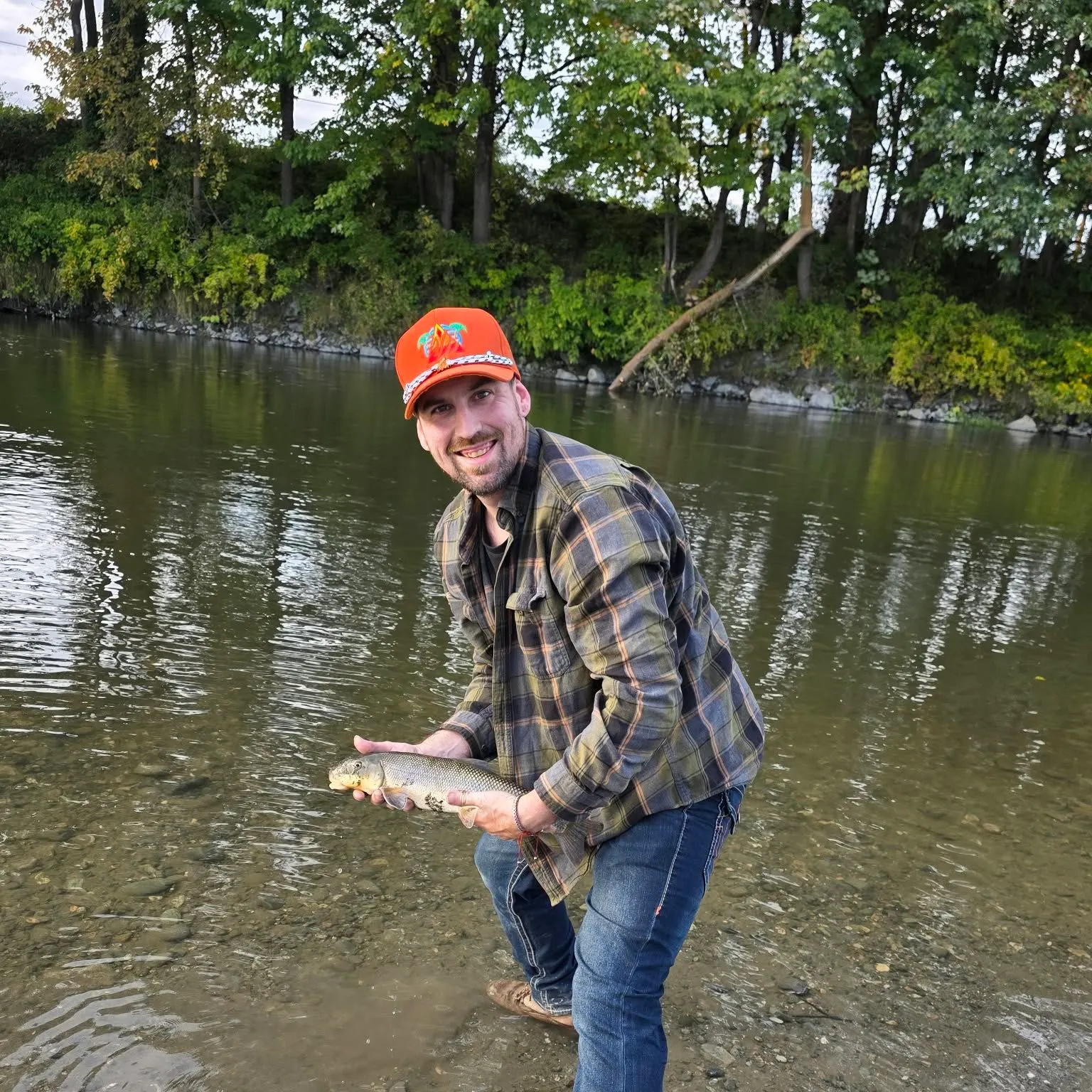 Largescale sucker caught on Fishbrain