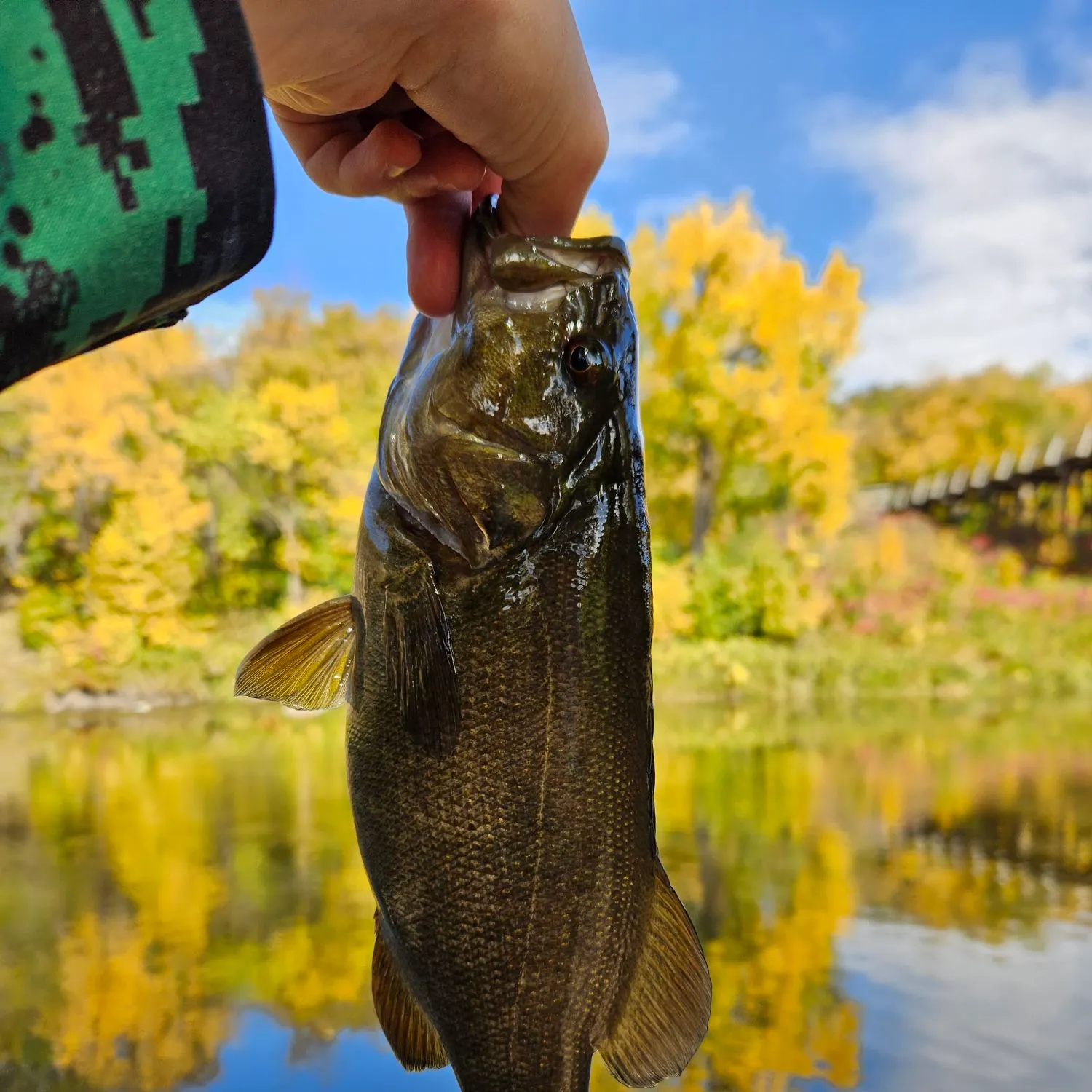 Smallmouth bass caught on Fishbrain
