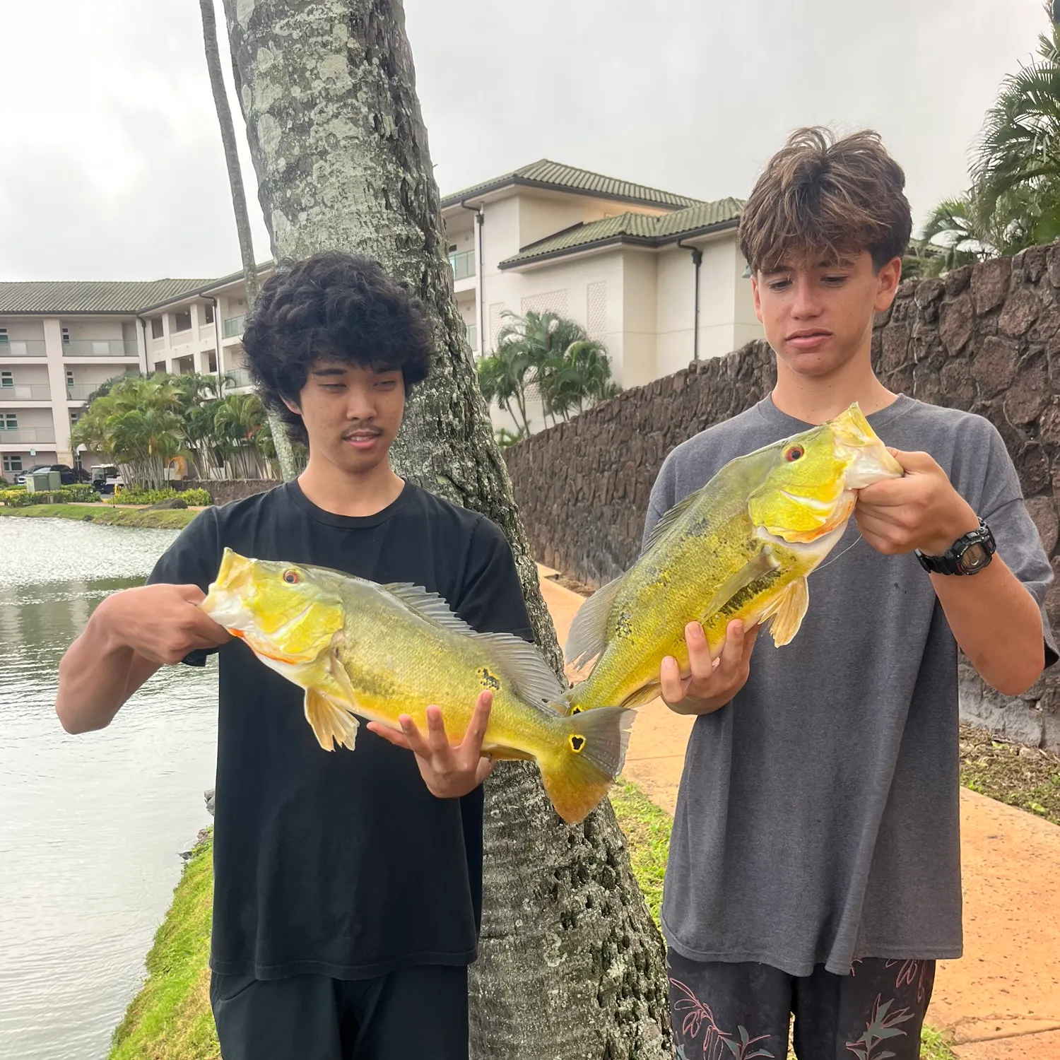 recently logged catches