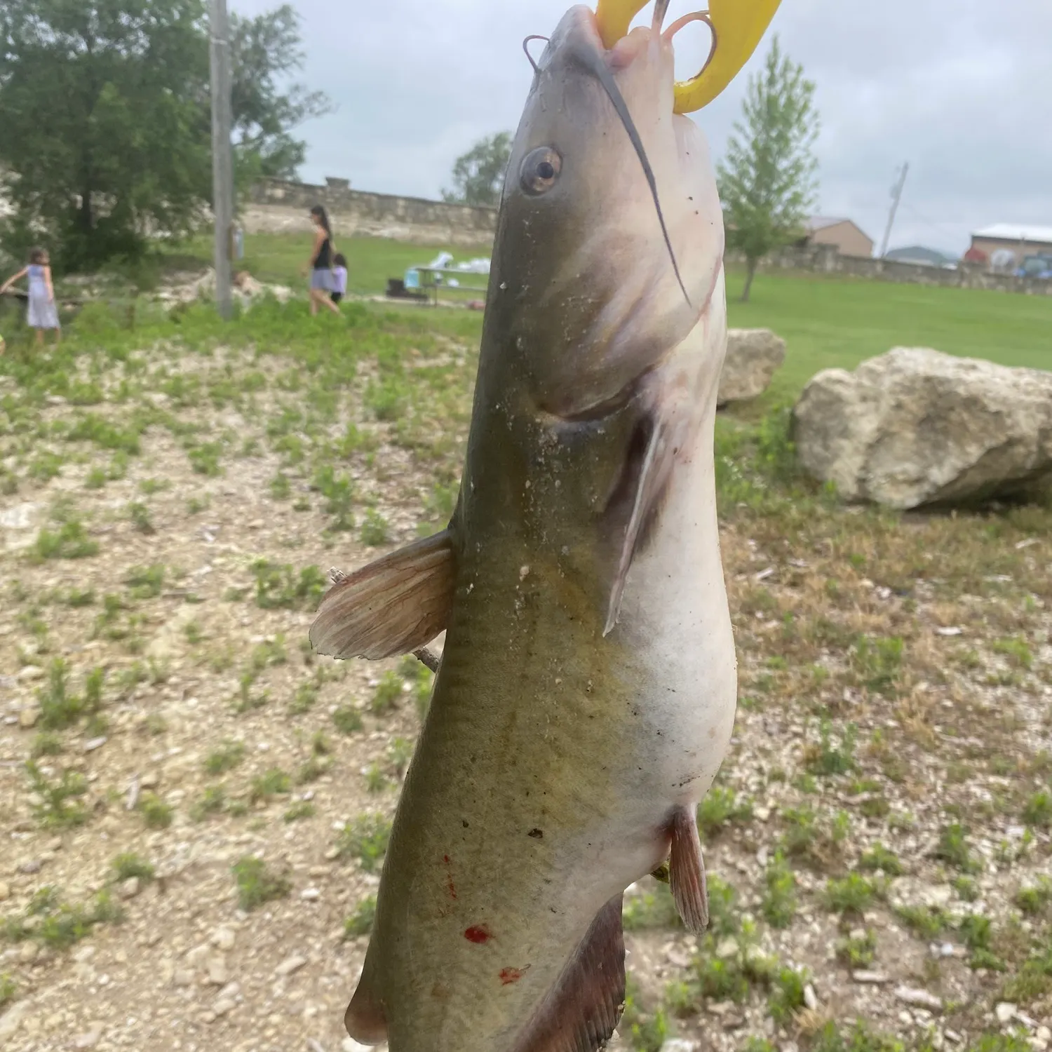 catch