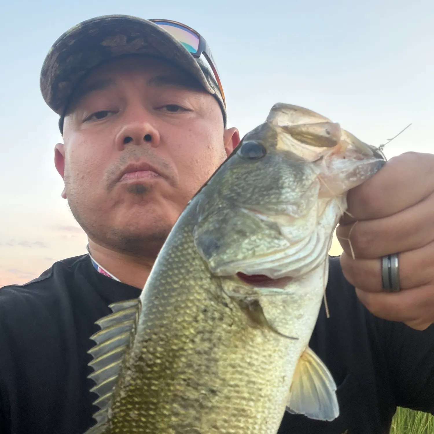 Largemouth bass caught on Fishbrain