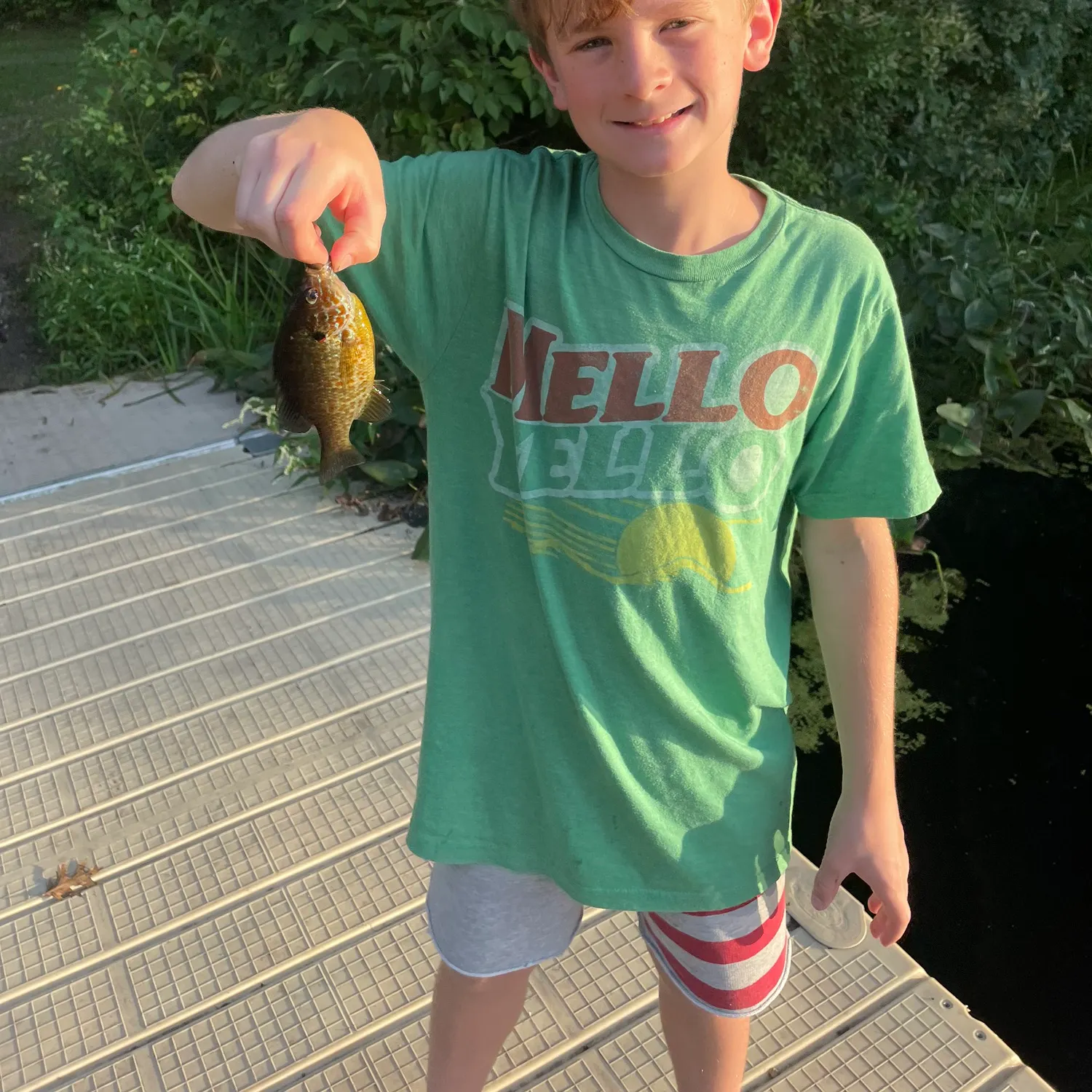 Pumpkinseed caught on Fishbrain