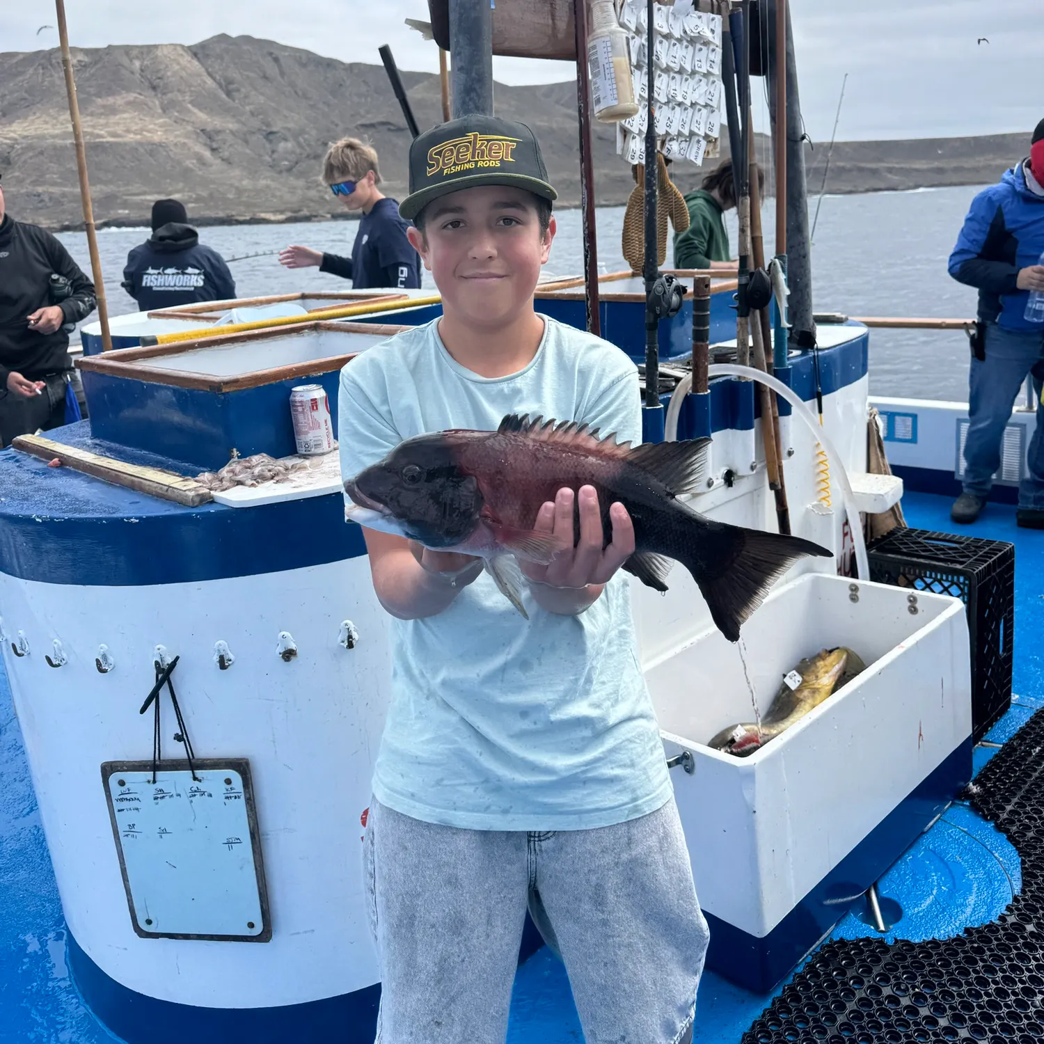 The most recent California sheephead catches on Fishbrain
