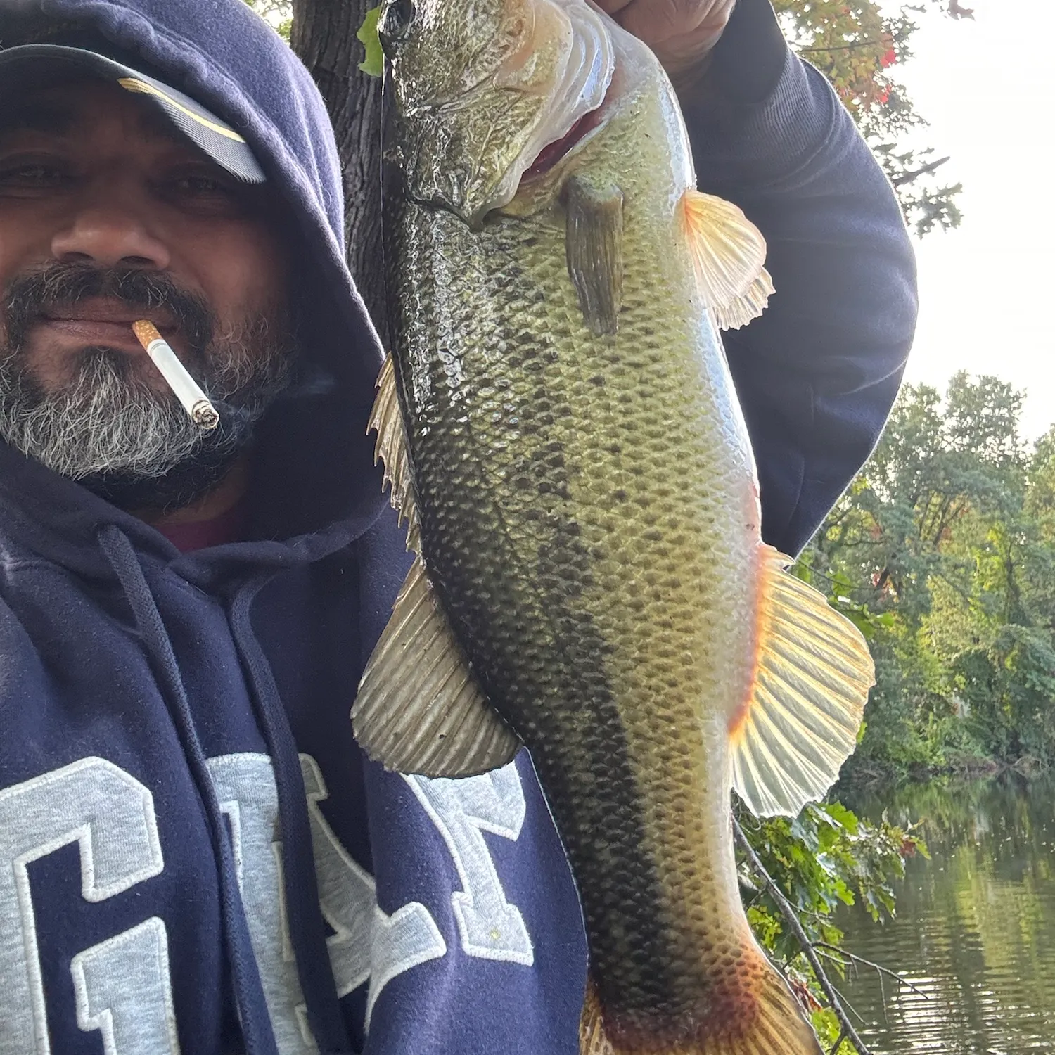 Largemouth bass caught on Fishbrain