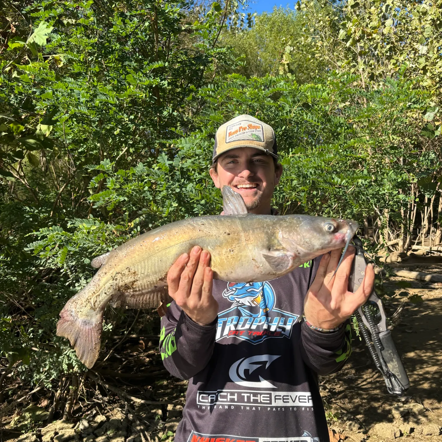 Channel catfish caught on Fishbrain
